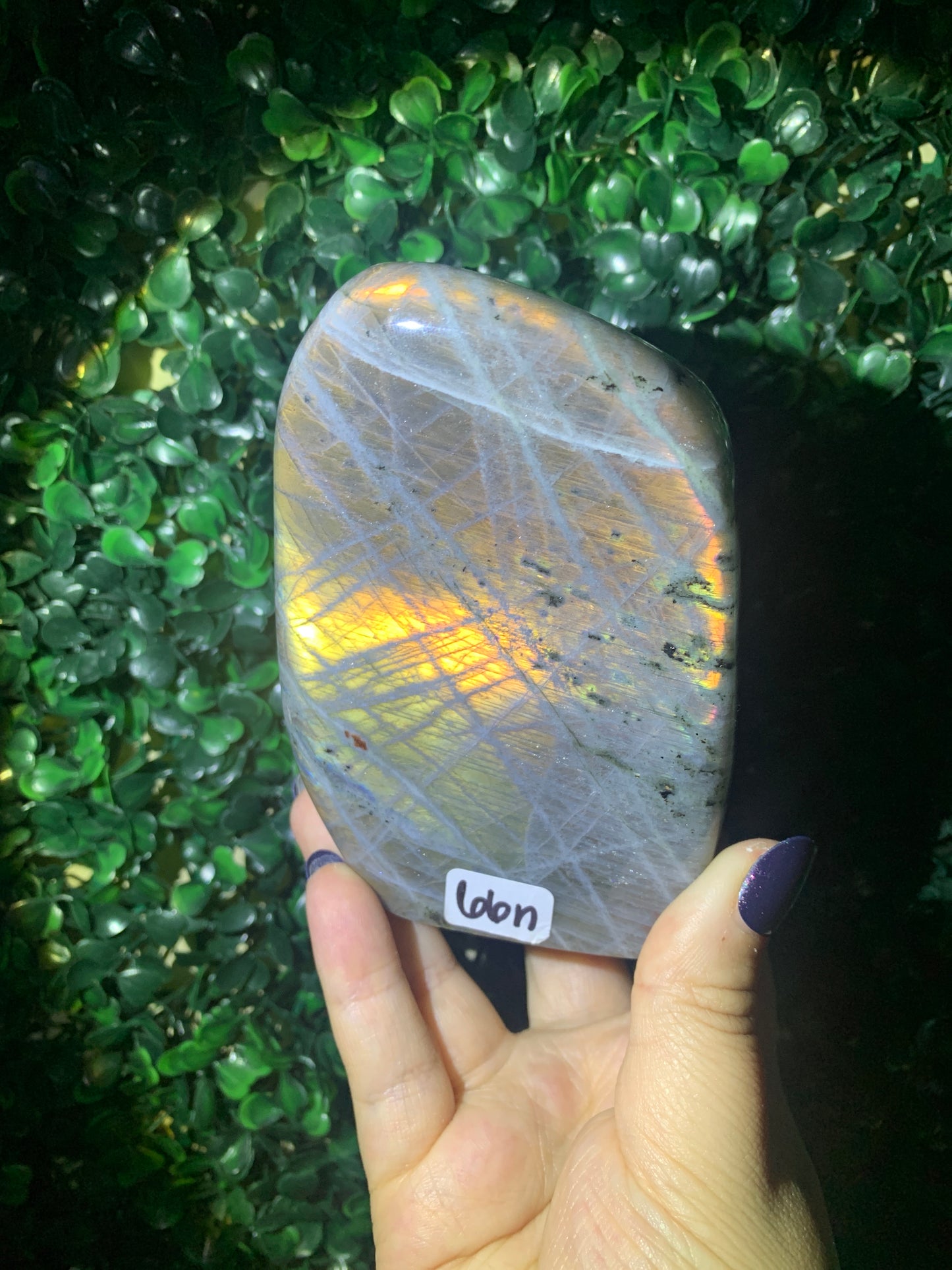 Labradorite Freeforms