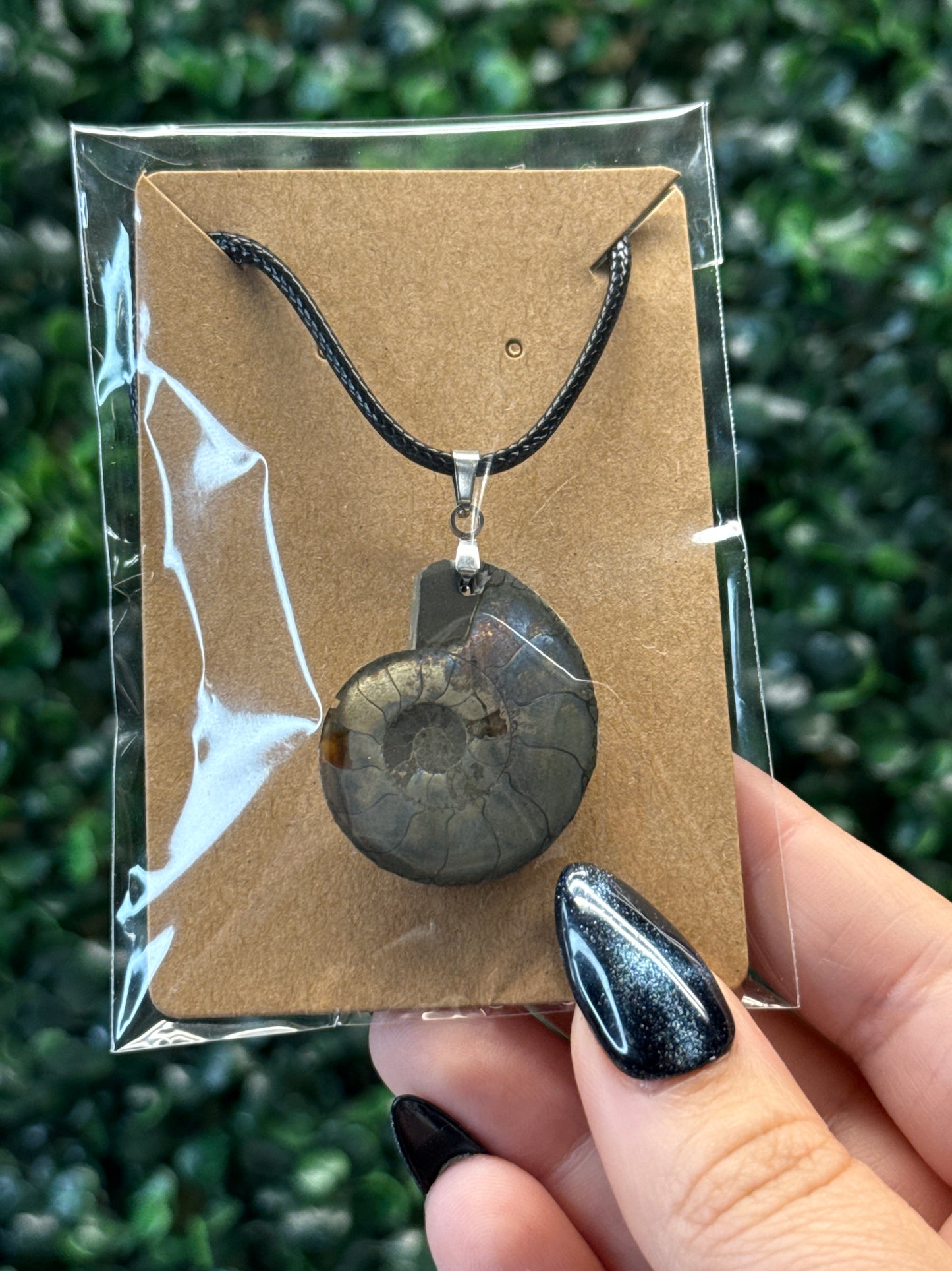 Ammonite Pendants & Cord