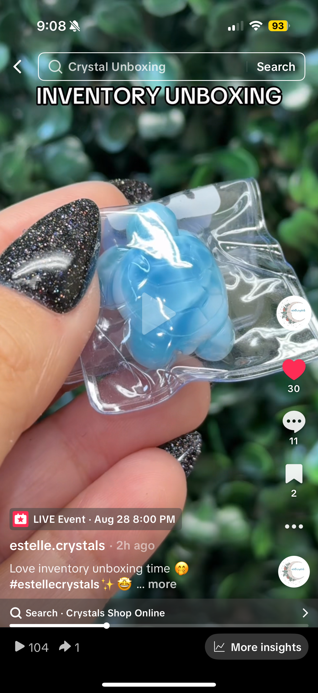 nikkigshilobundles 8/24 - Larimar Turtle 98