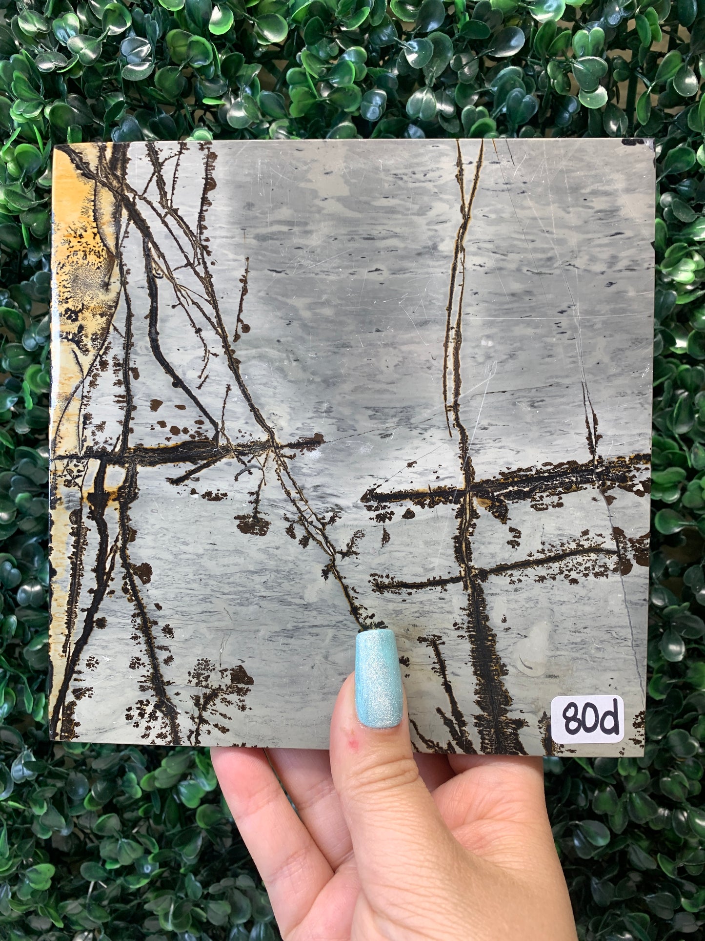 Picture Jasper Slabs (Come with stands)