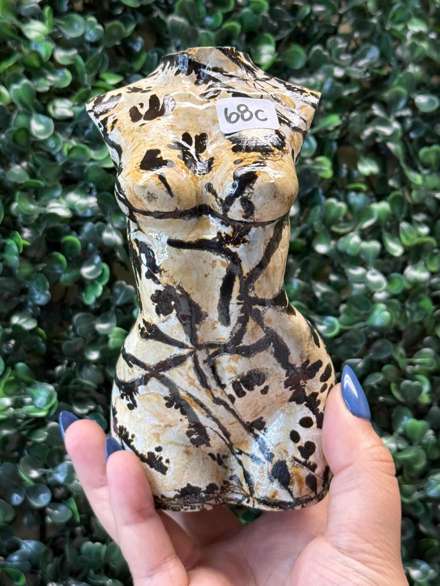 Picture Jasper Lady Bodies