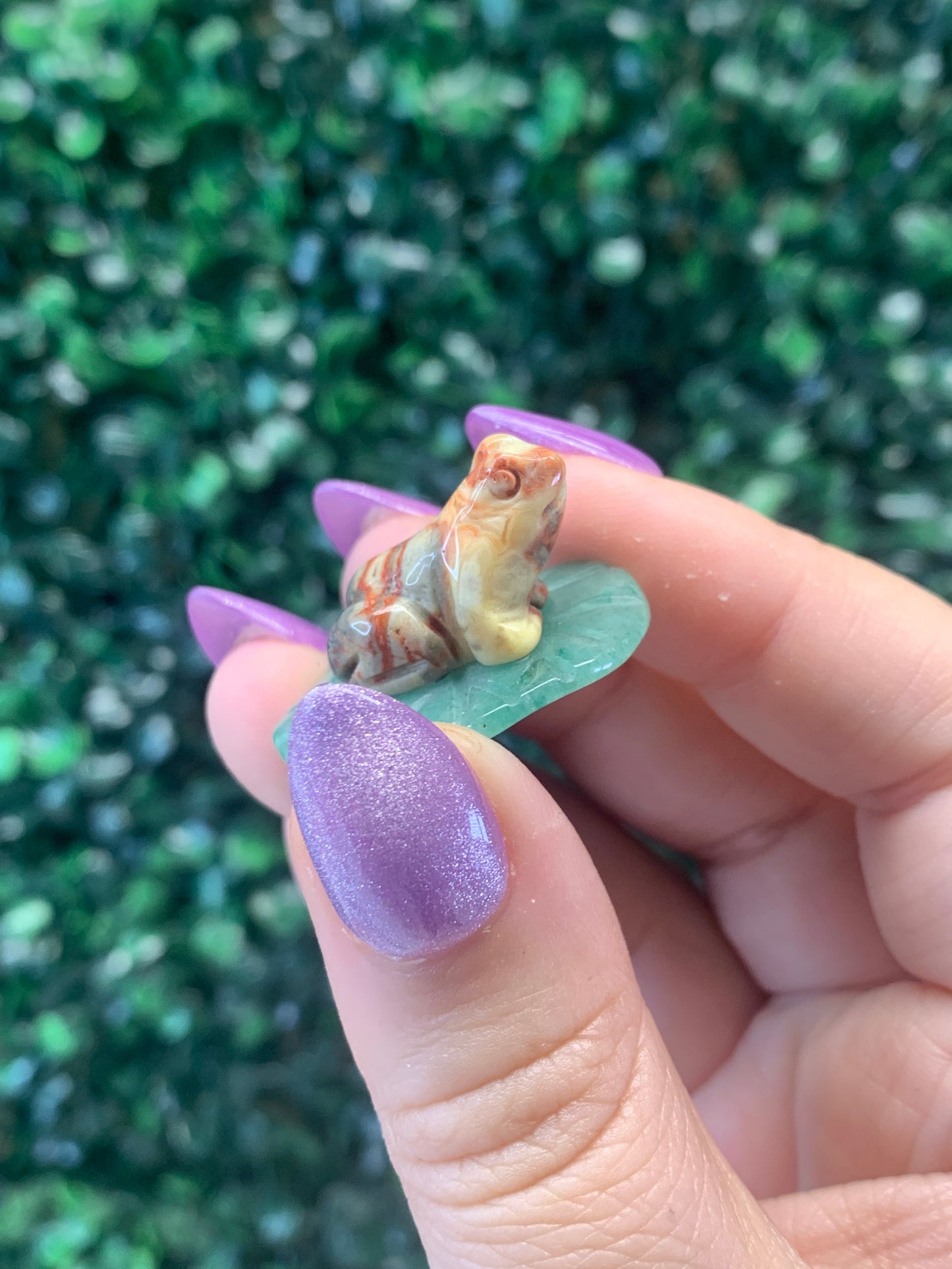 Crazy Lace Agate Frog on Green Aventurine Leaf - Intuitively chosen