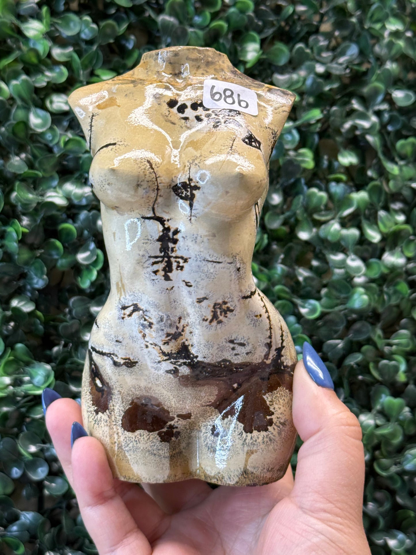 Picture Jasper Lady Bodies