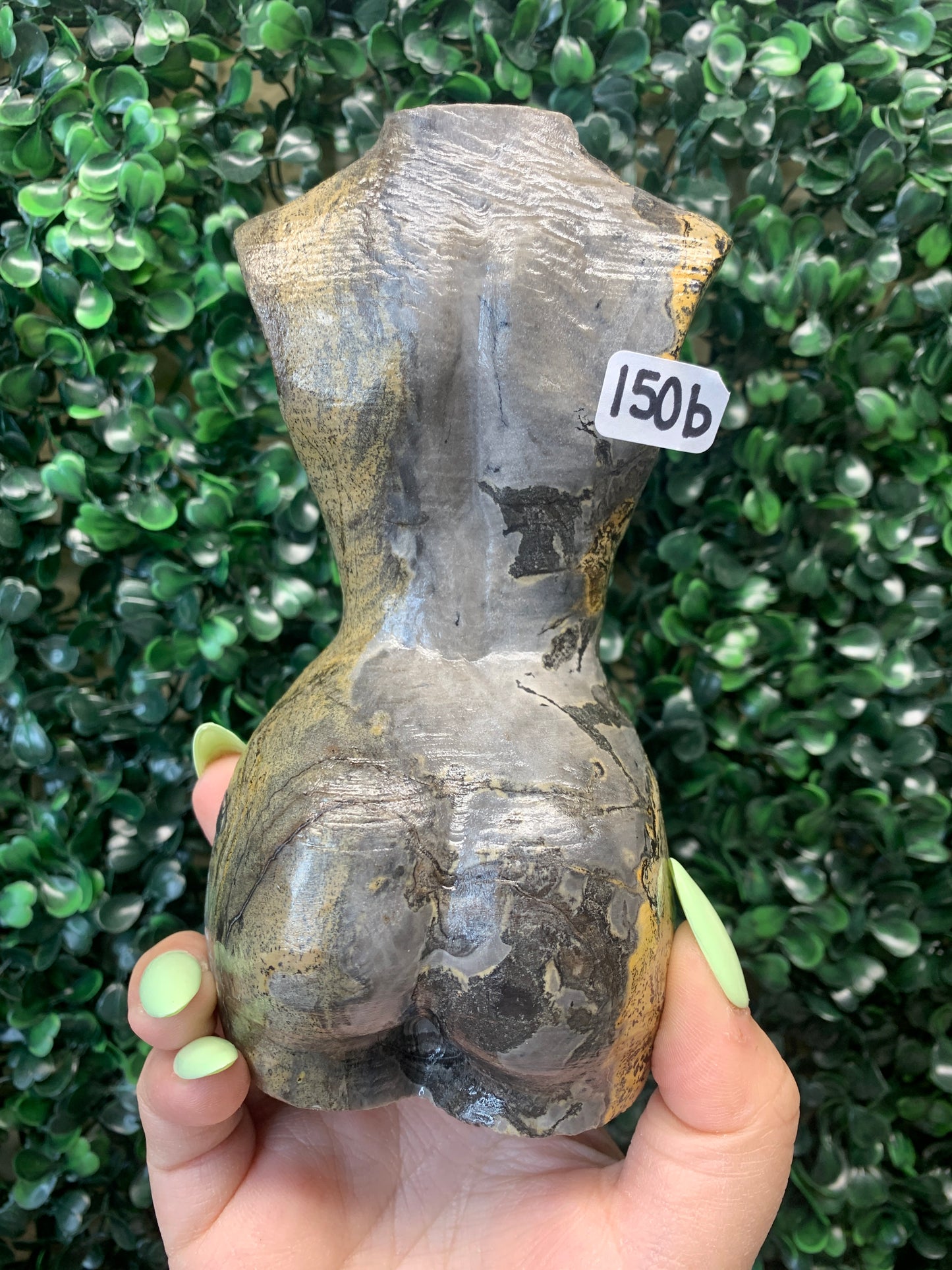 Picture Jasper Lady Bodies