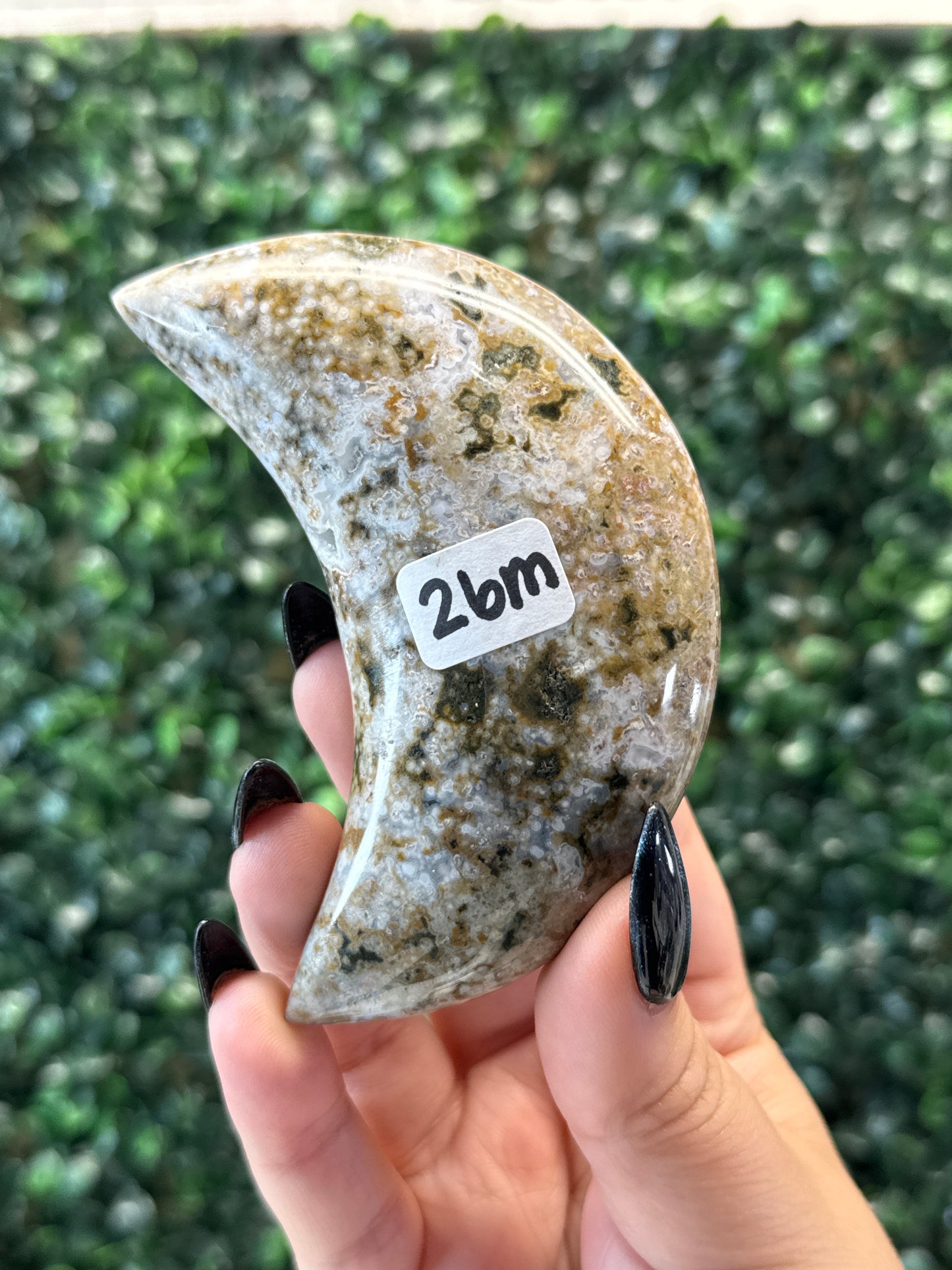Ocean Jasper Moon