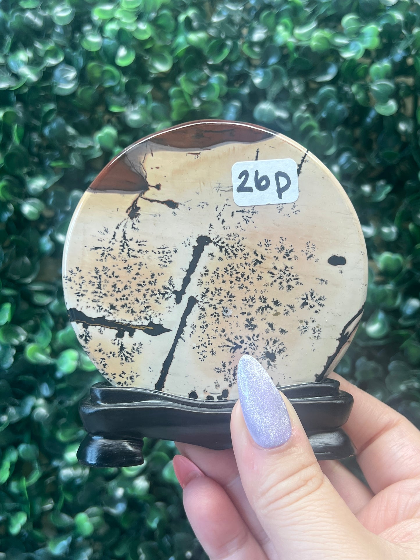 Picture Jasper Slabs (Come with stands)