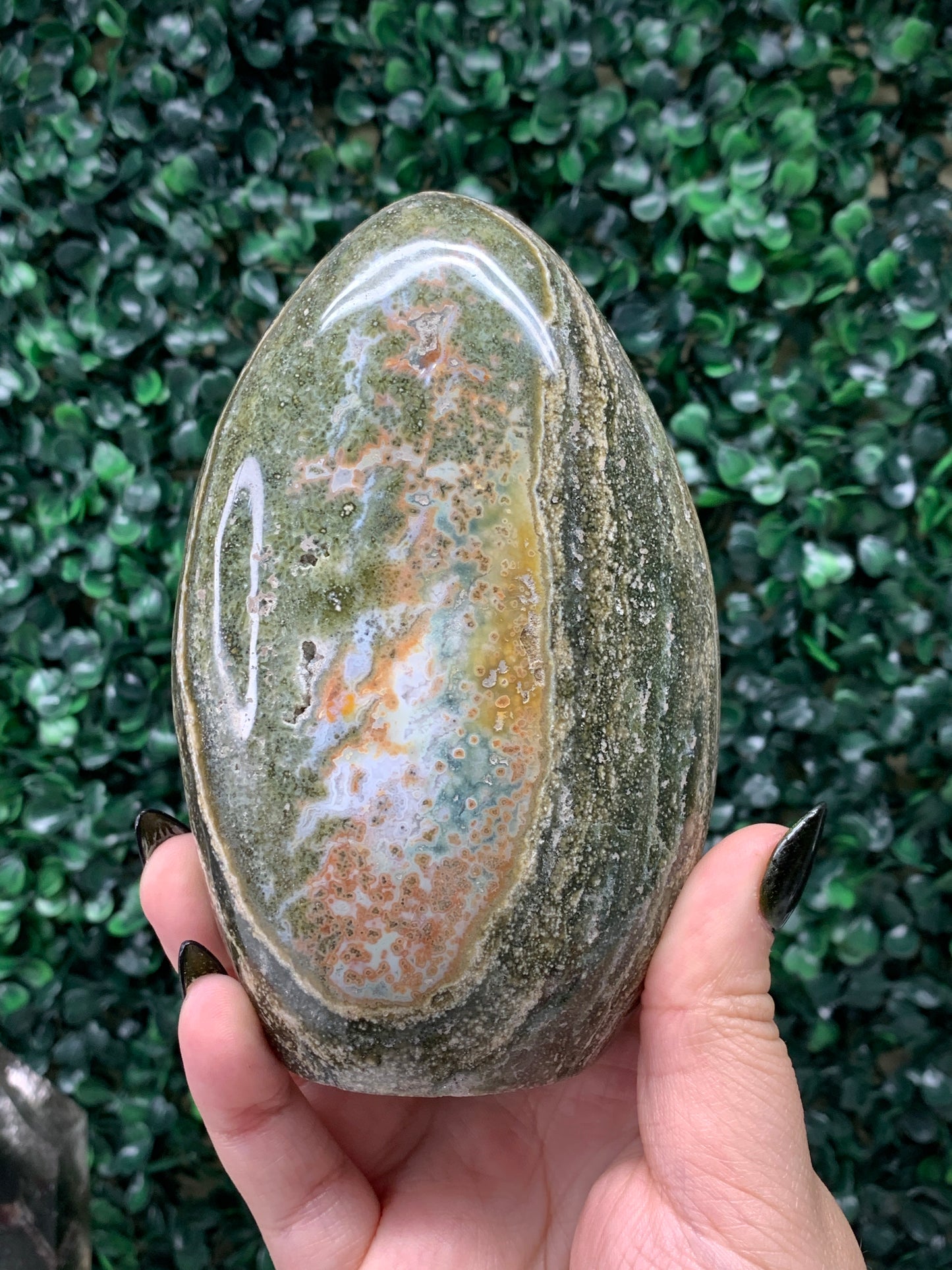 Ocean Jasper Freeforms