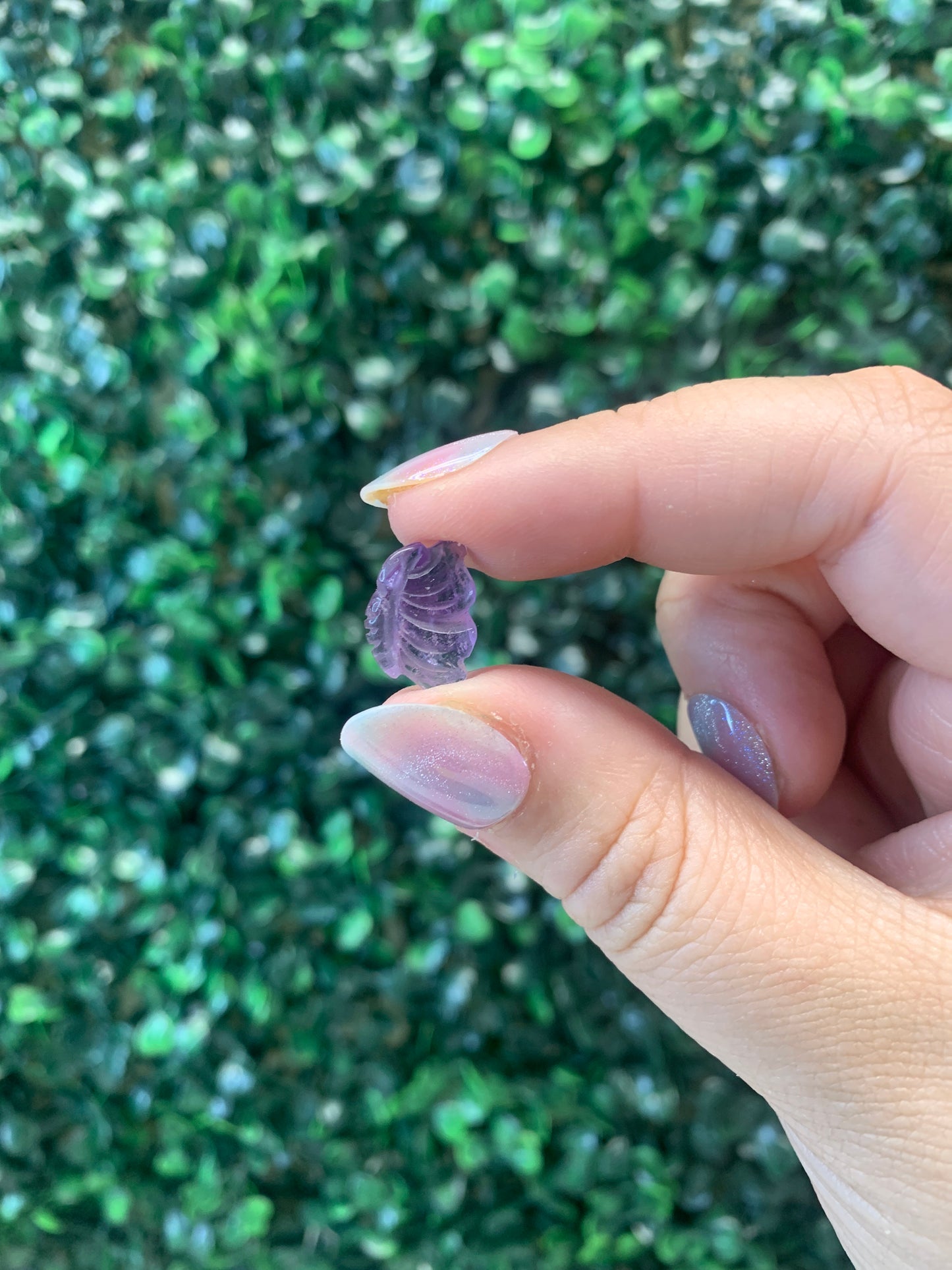 Mini Amethyst Butterflies (INTUITIVELY CHOSEN)