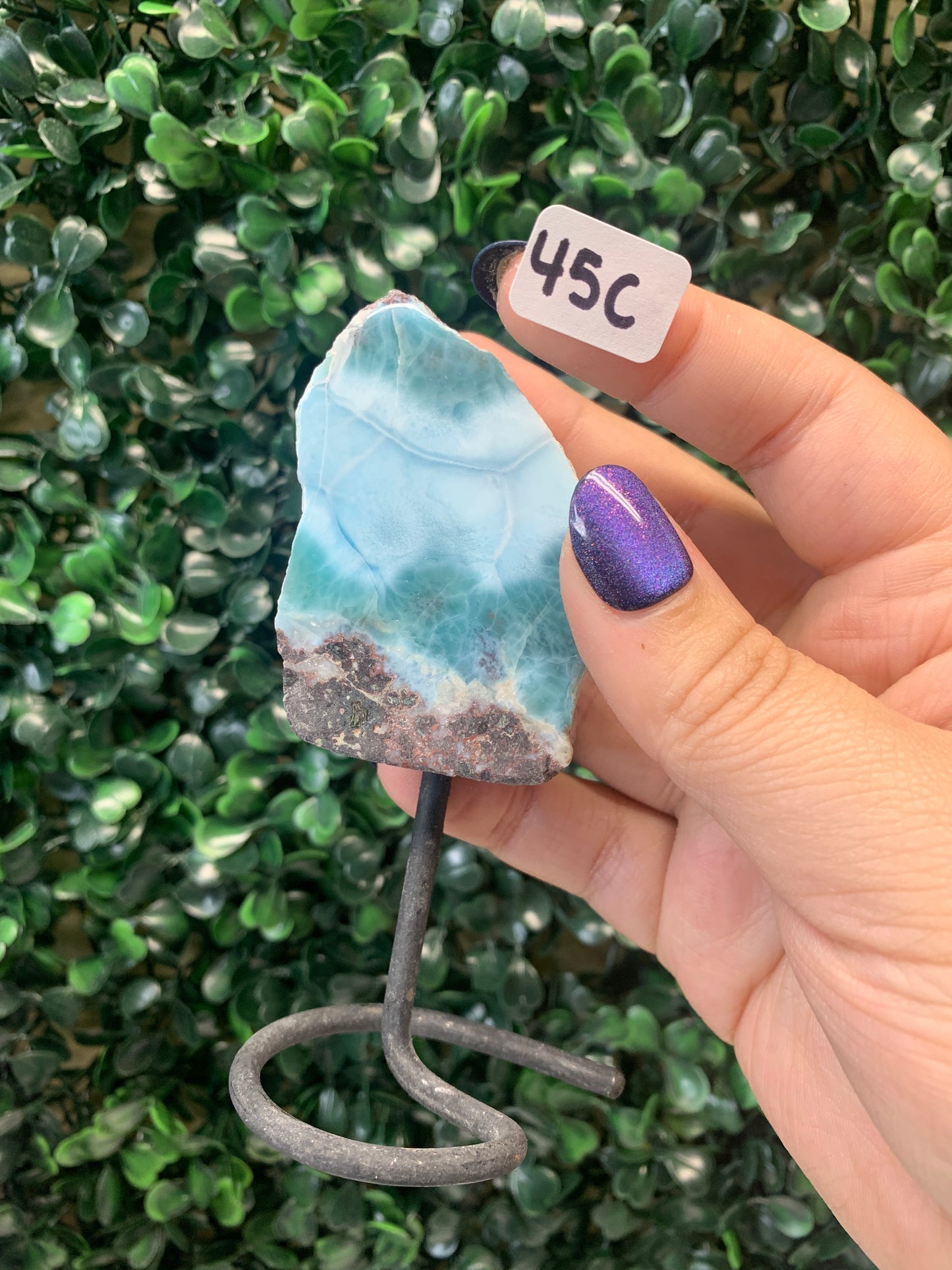 Larimar on stands