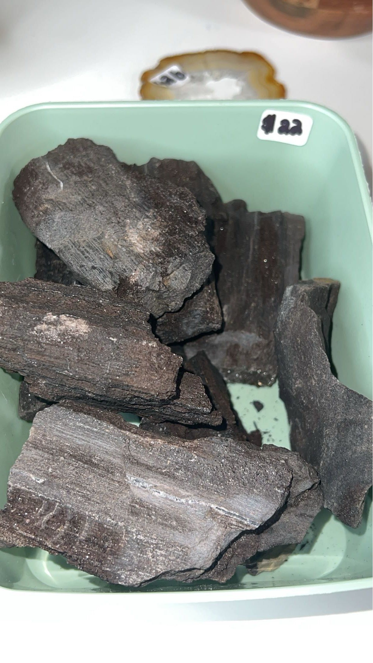 Permineralized Wood - INTUITIVELY CHOSEN (SPARKLY)
