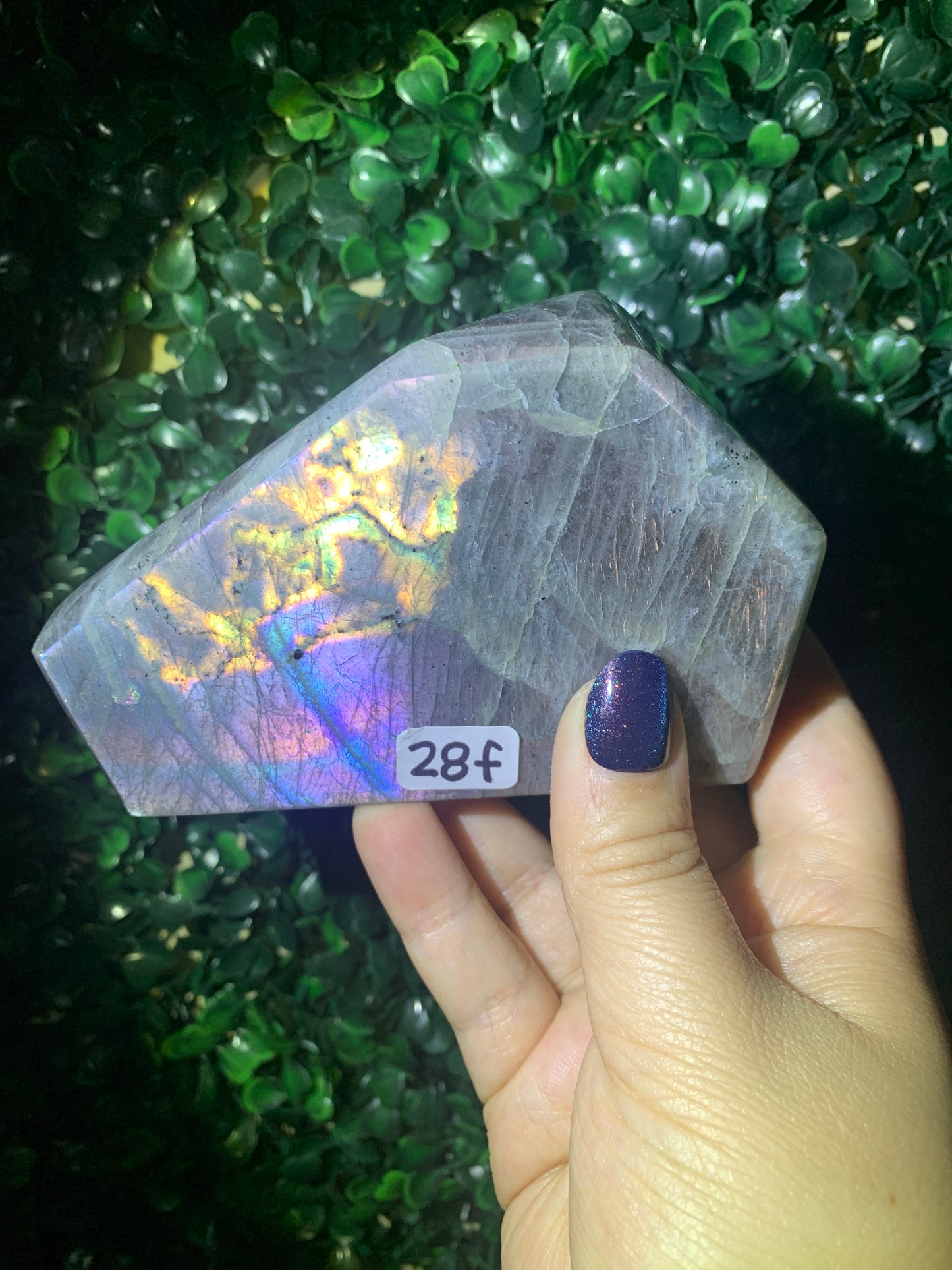 Labradorite Freeforms