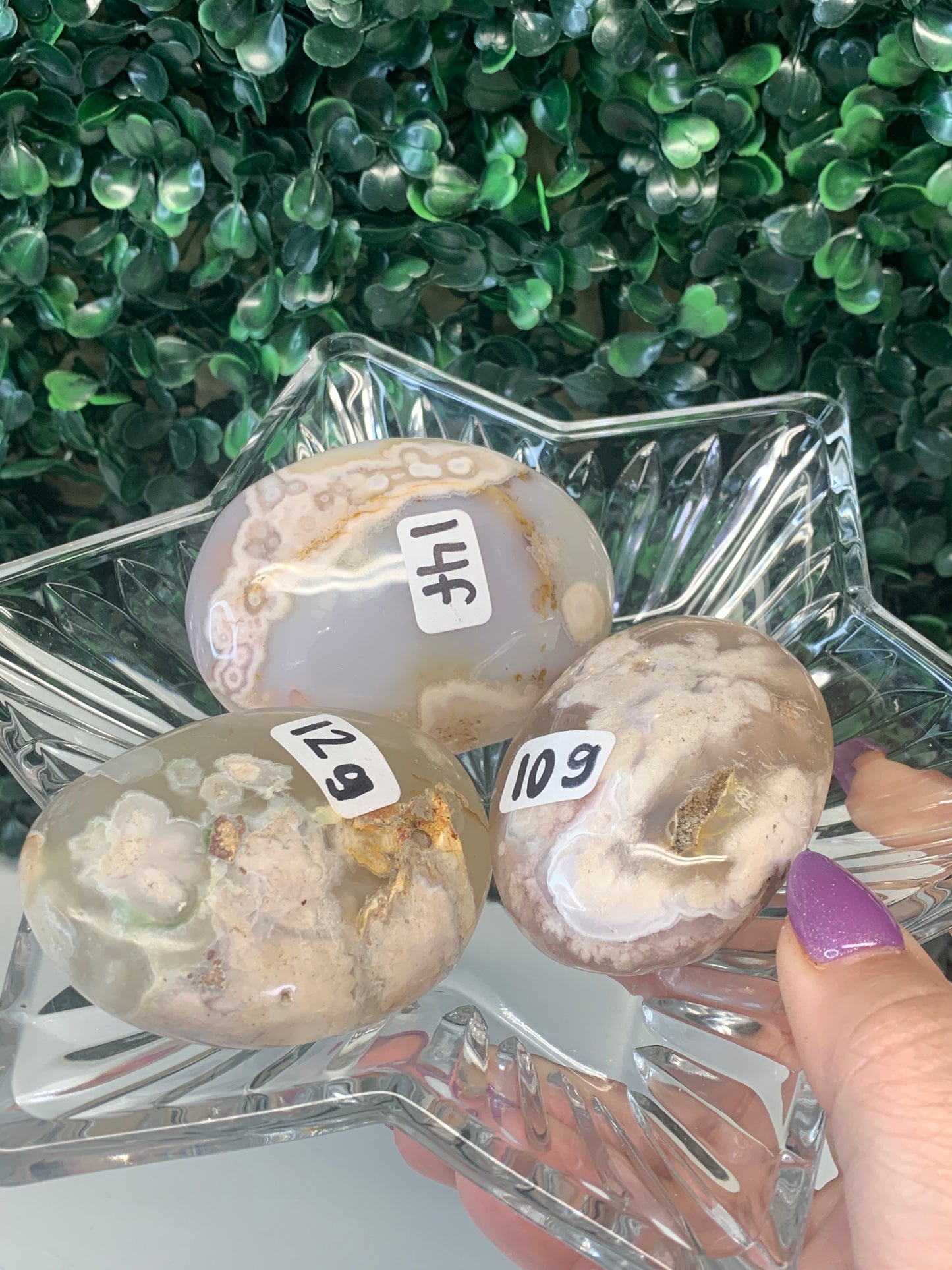 Flower Agate Palmstones