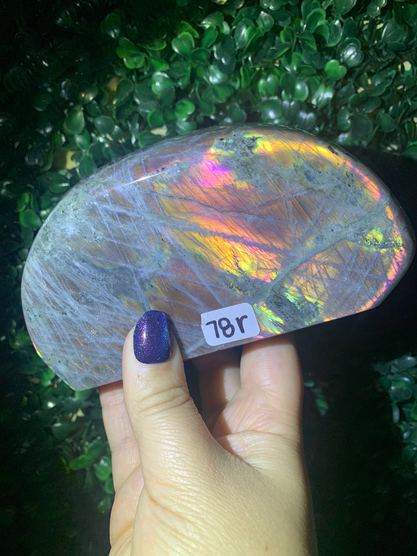 Labradorite Freeforms