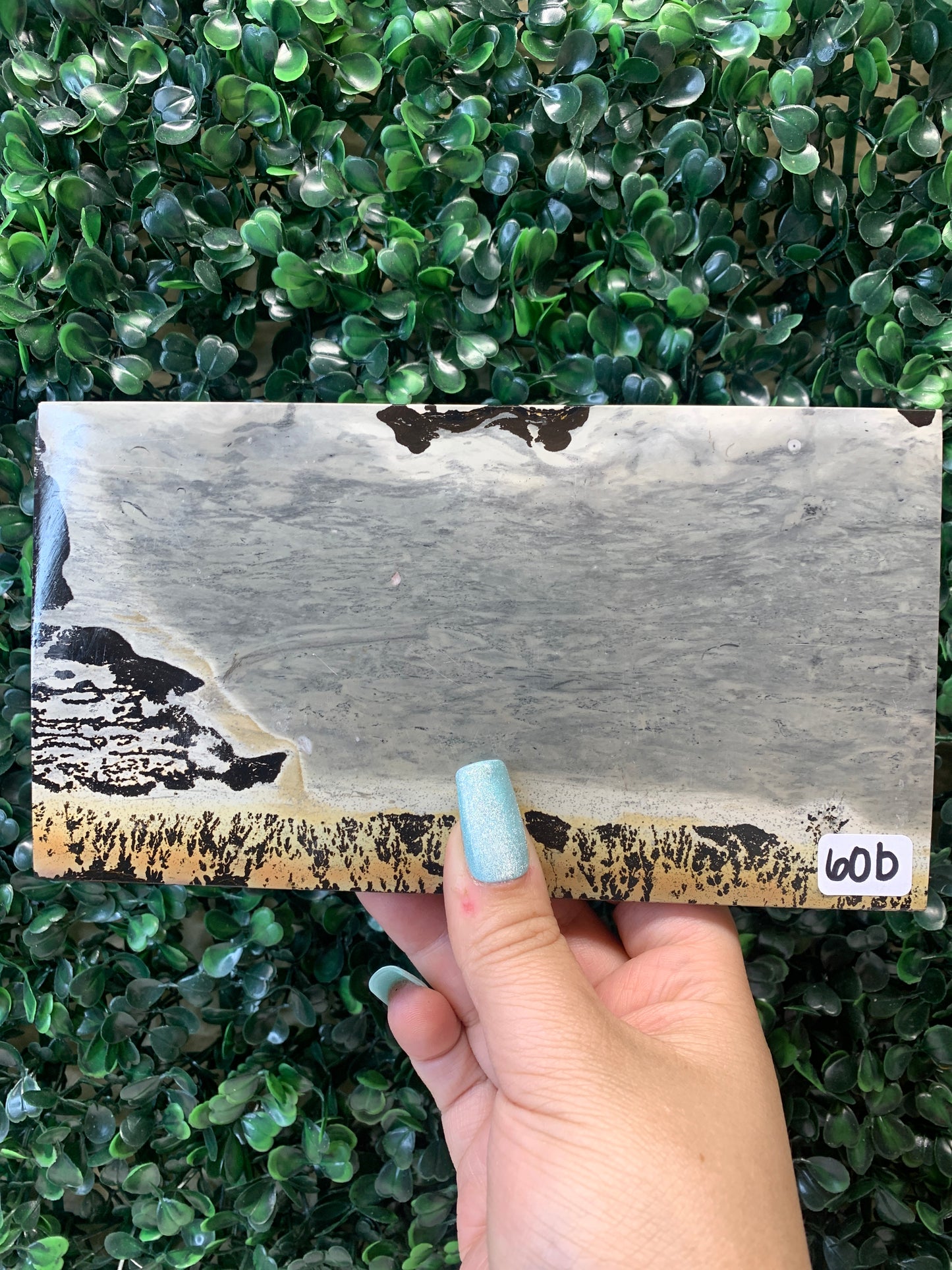 Picture Jasper Slabs (Come with stands)