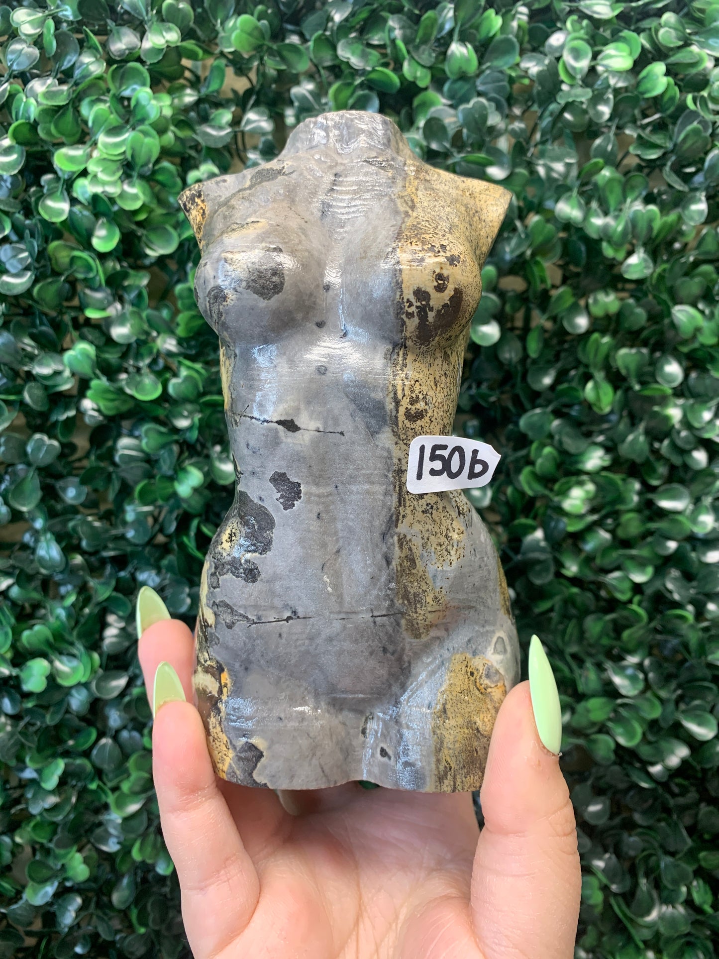 Picture Jasper Lady Bodies