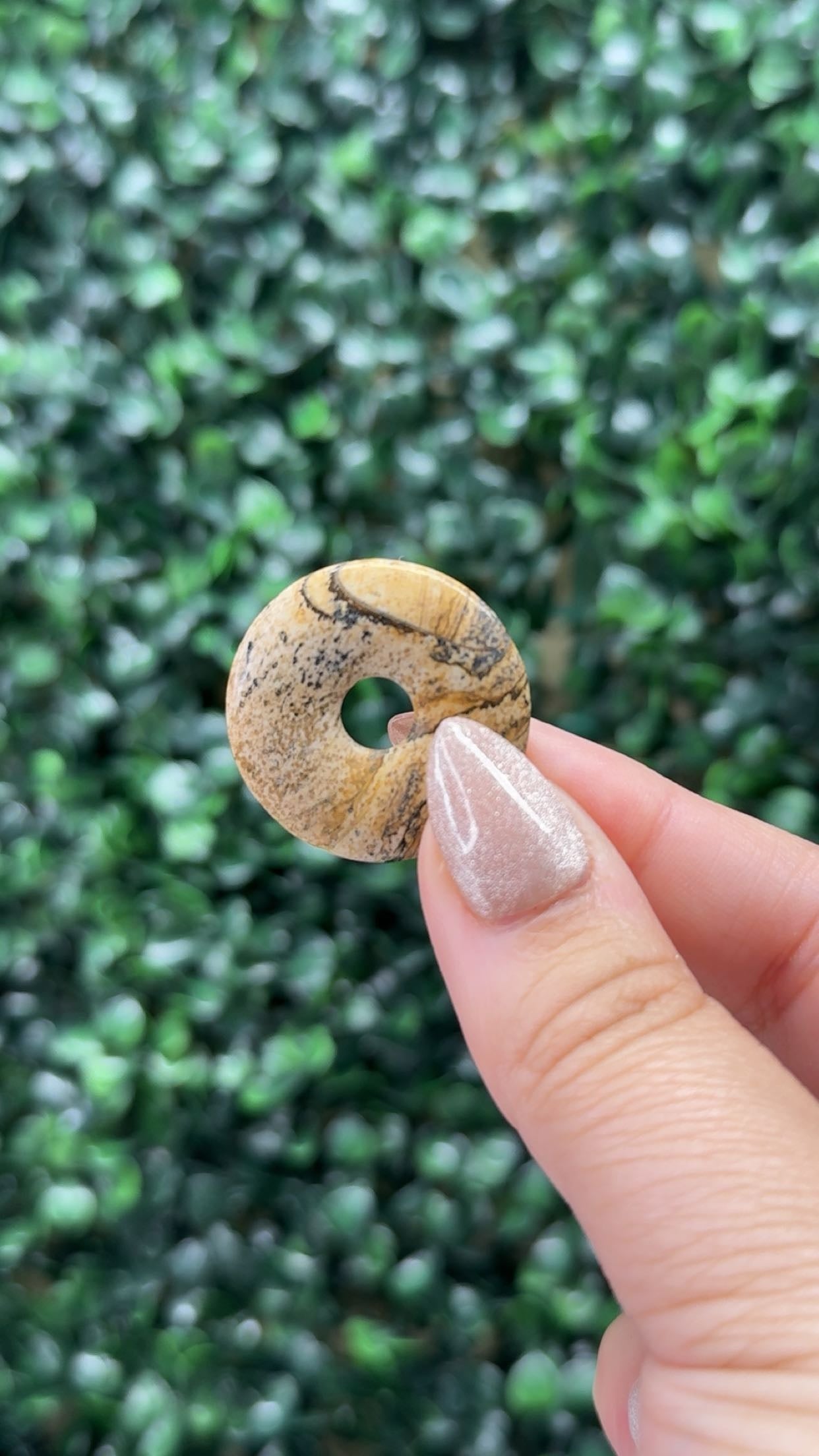 Donuts - Intuitively chosen