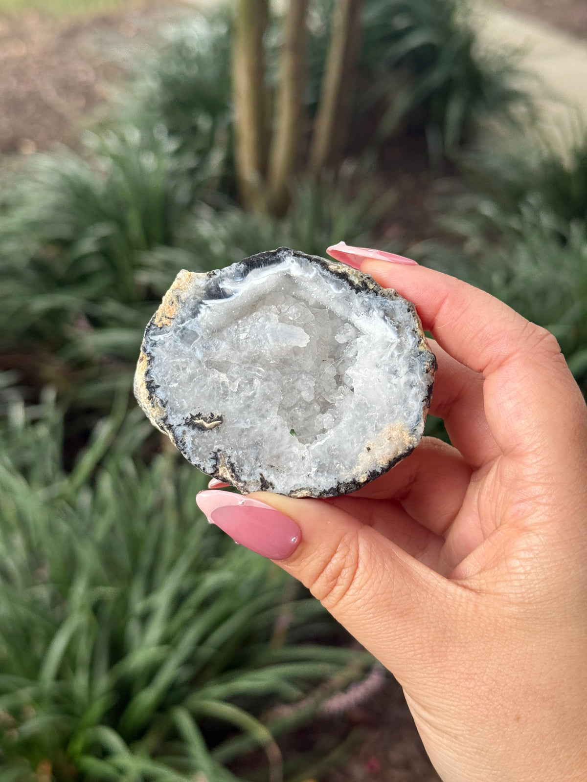 Trancas Geode - Lindsey’s Collection