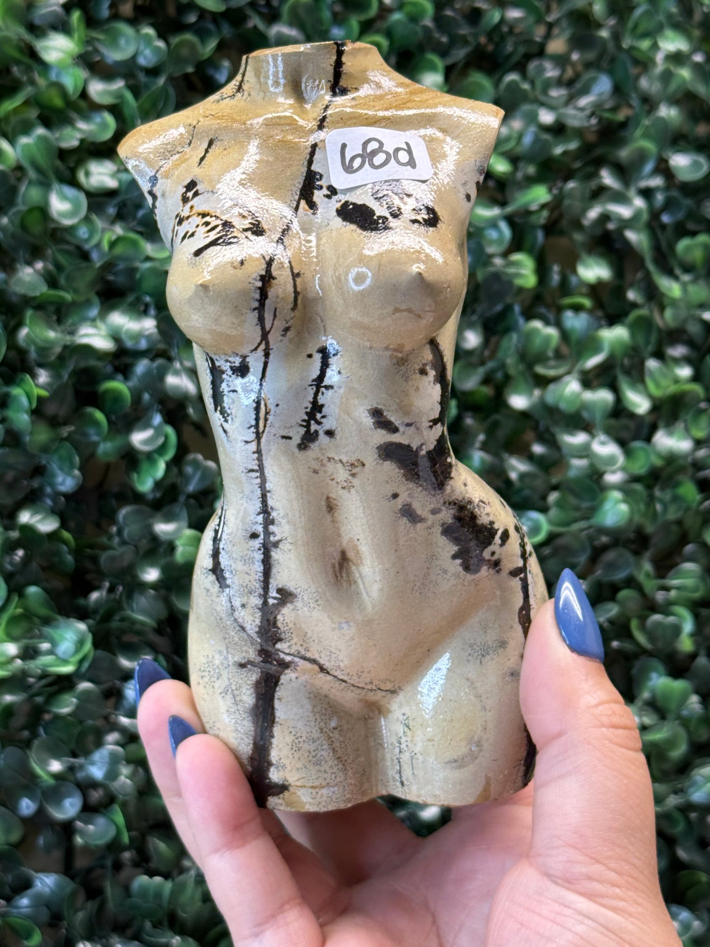 Picture Jasper Lady Bodies