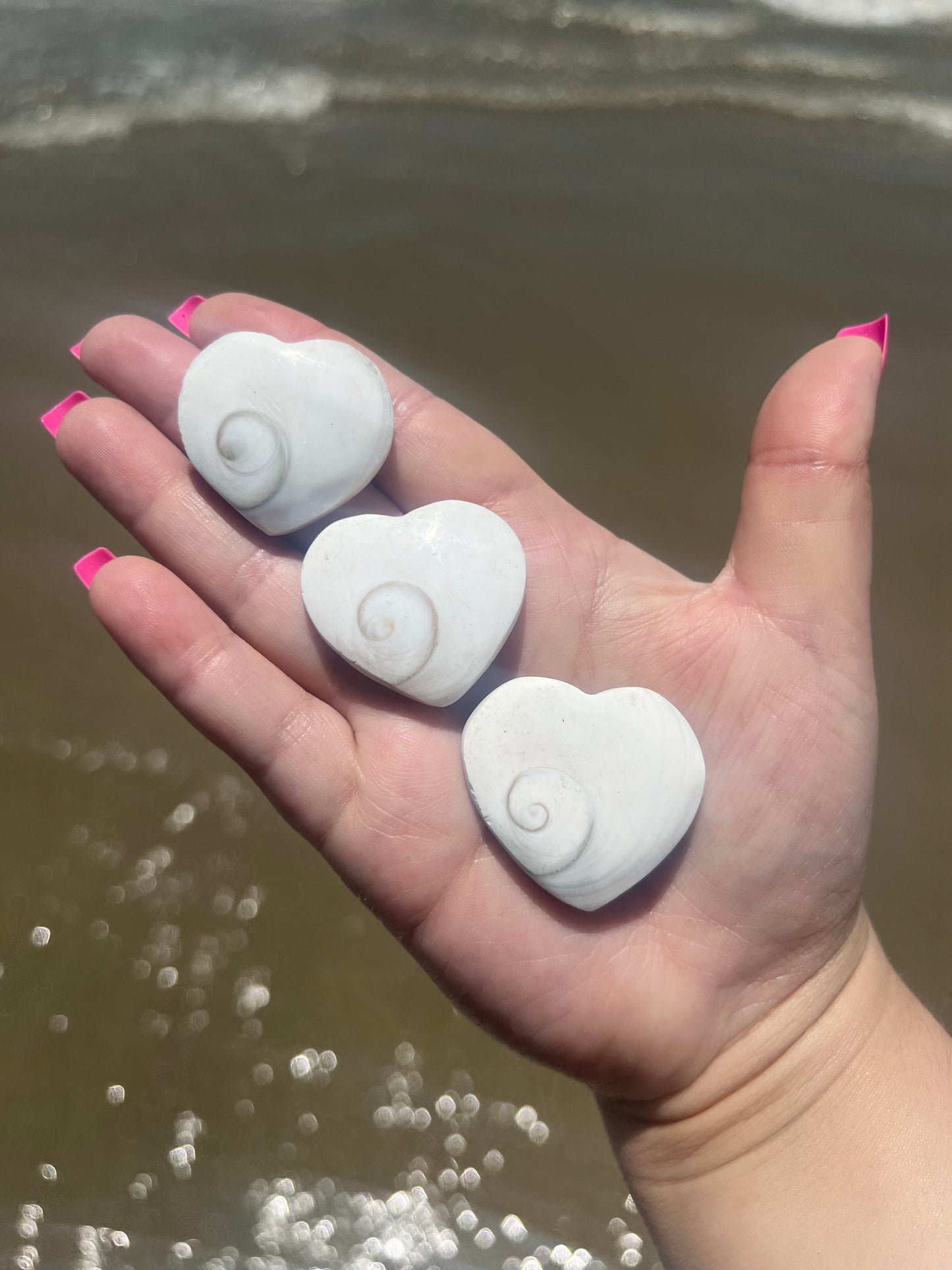 Shiva Shell Hearts