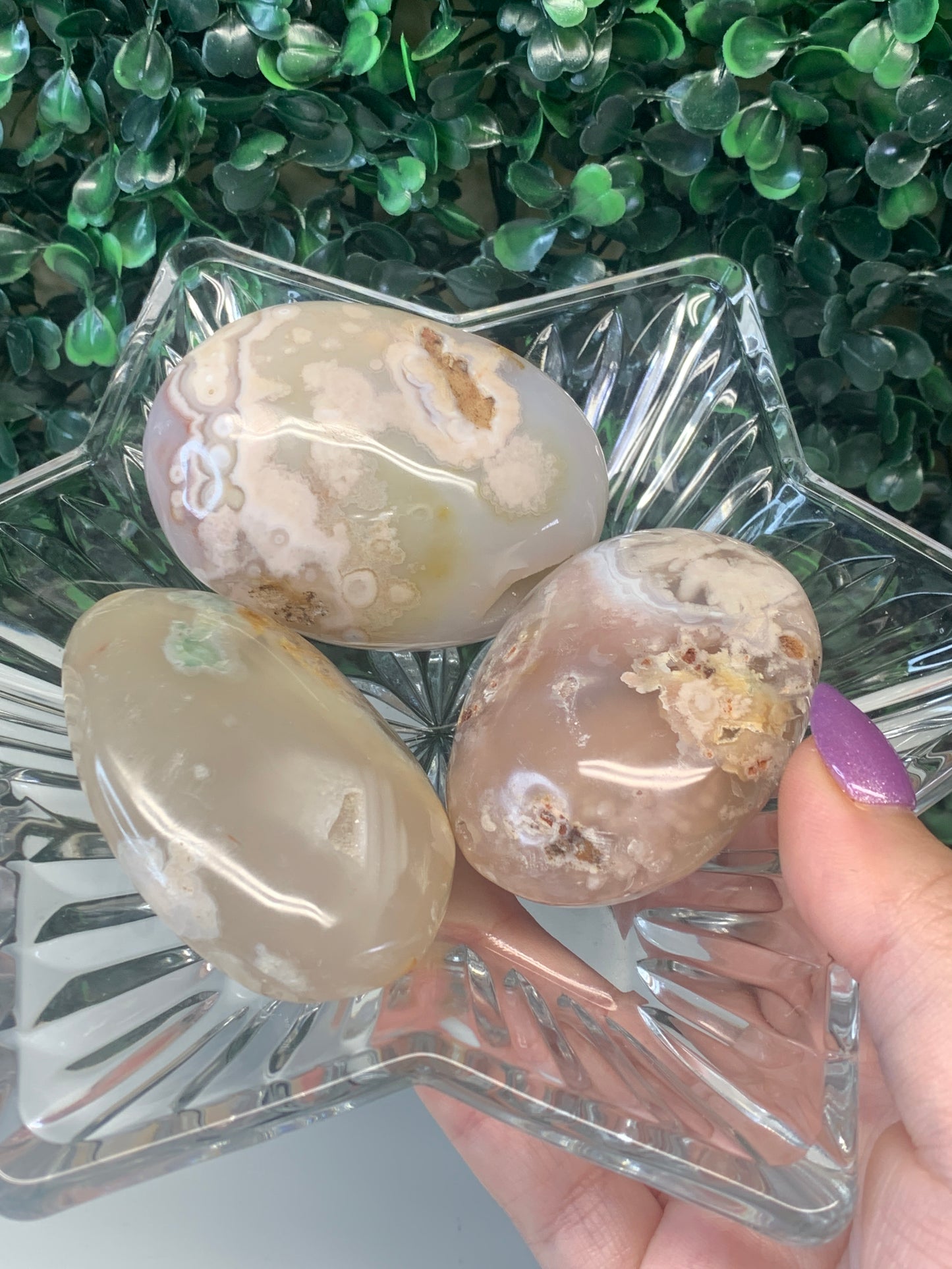 Flower Agate Palmstones