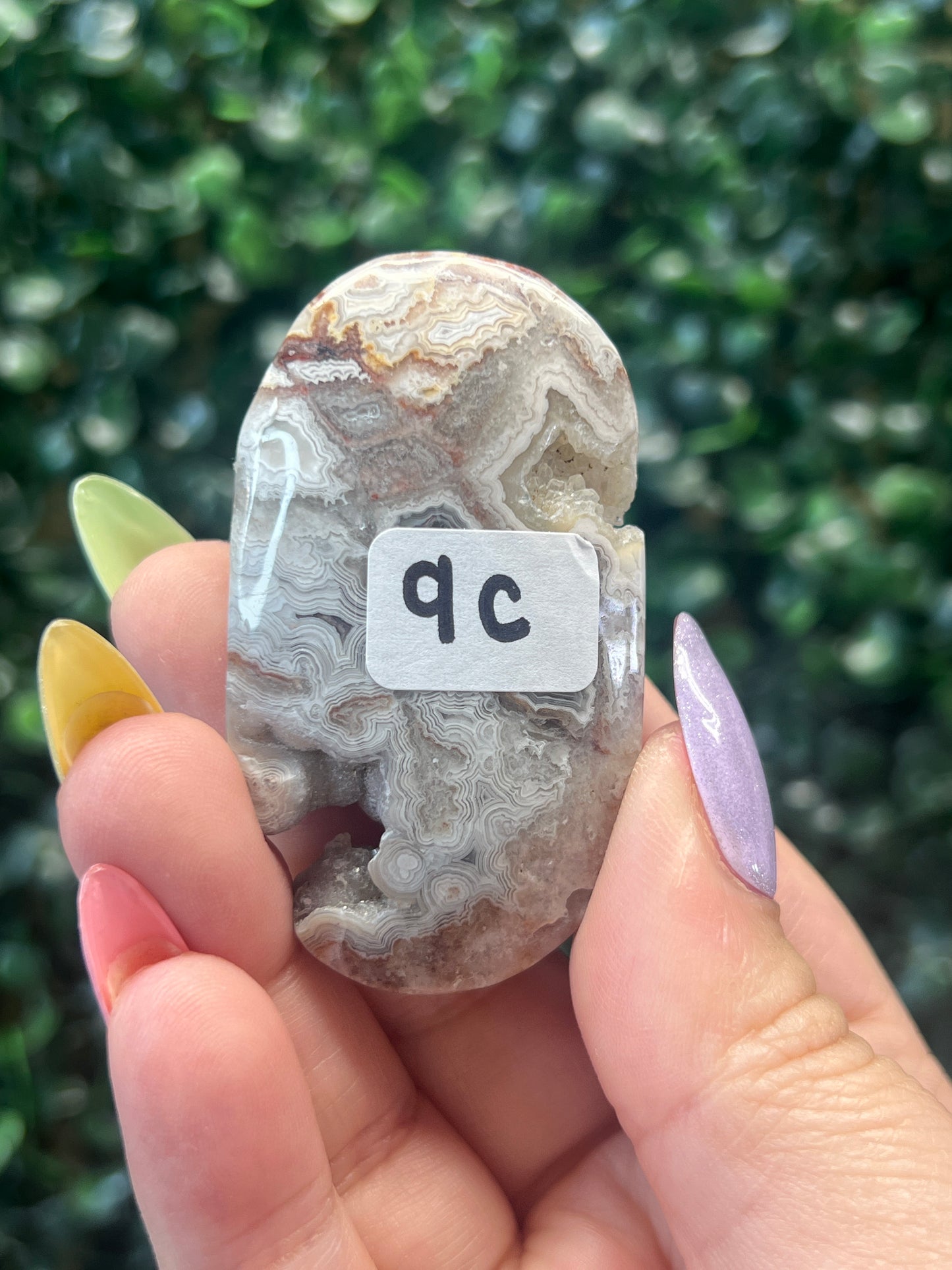 Mexican Crazy Lace Agate Palmstones (some have parallax)
