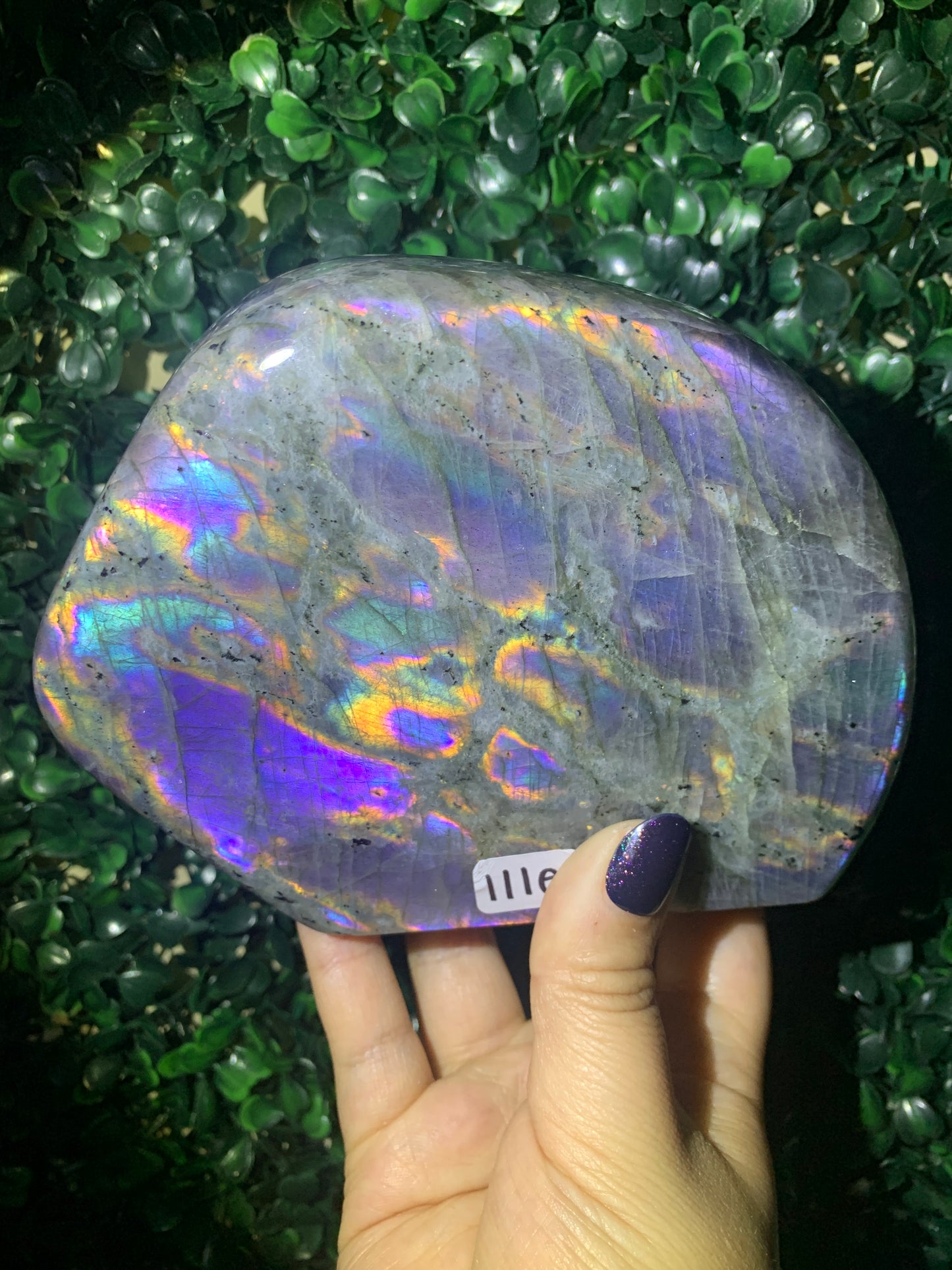 Labradorite Freeforms