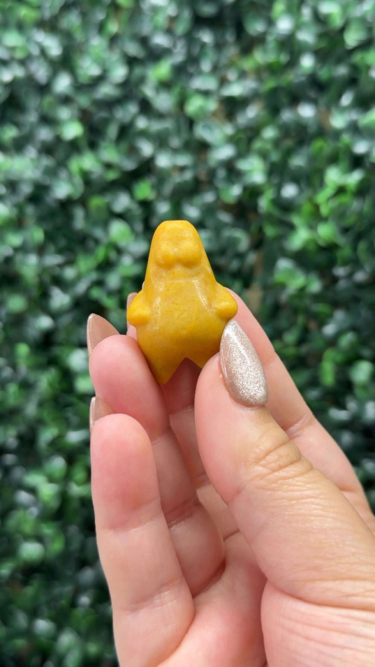 Yellow Jade Patrick