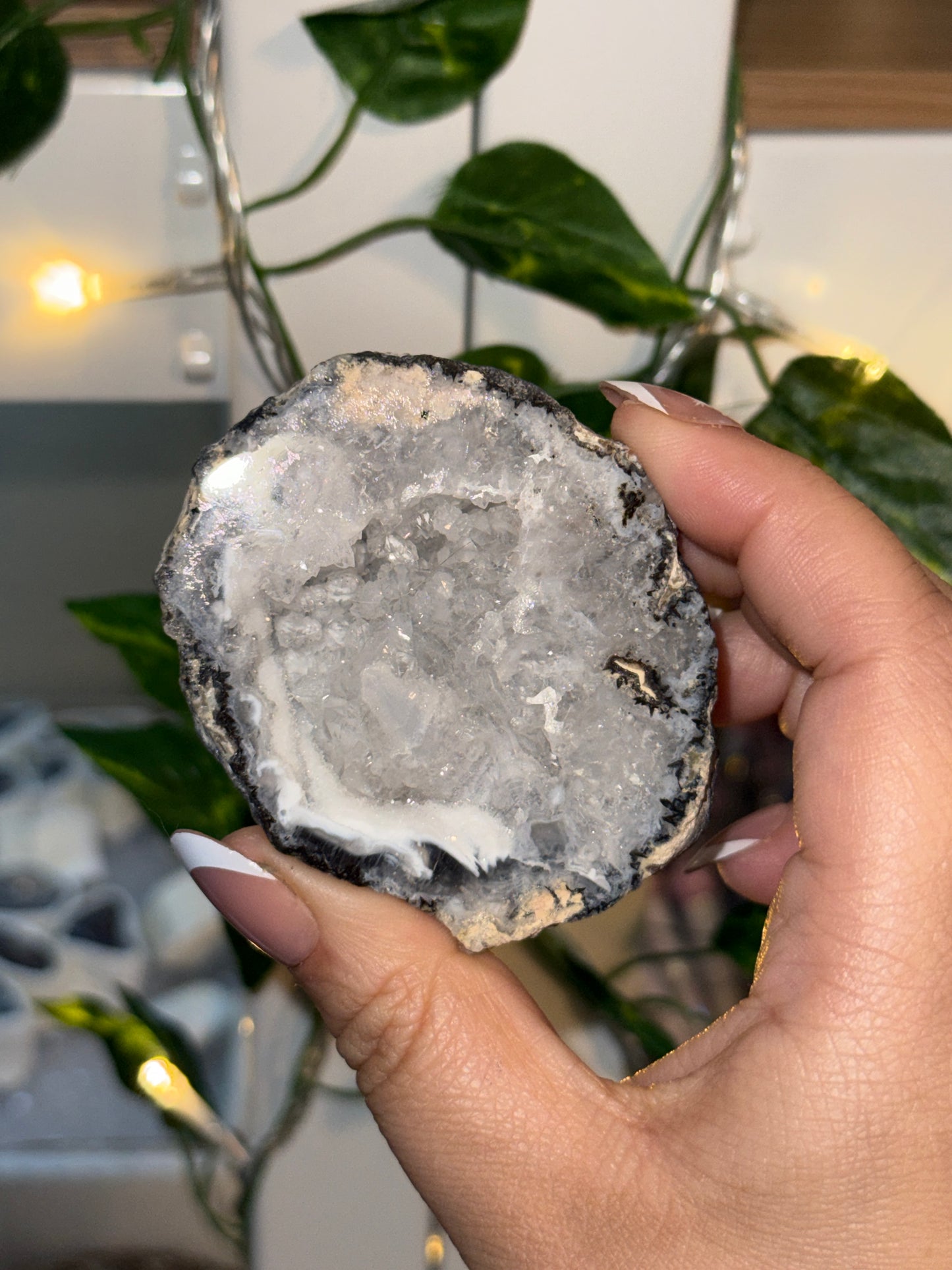 Trancas Geode - Lindsey’s Collection