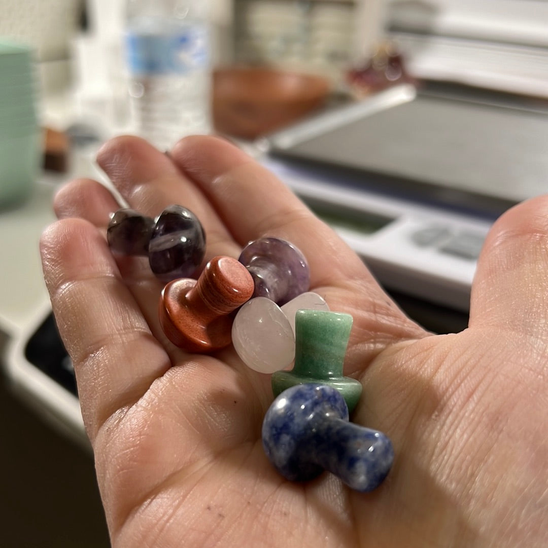 Mystery Mini Mushrooms