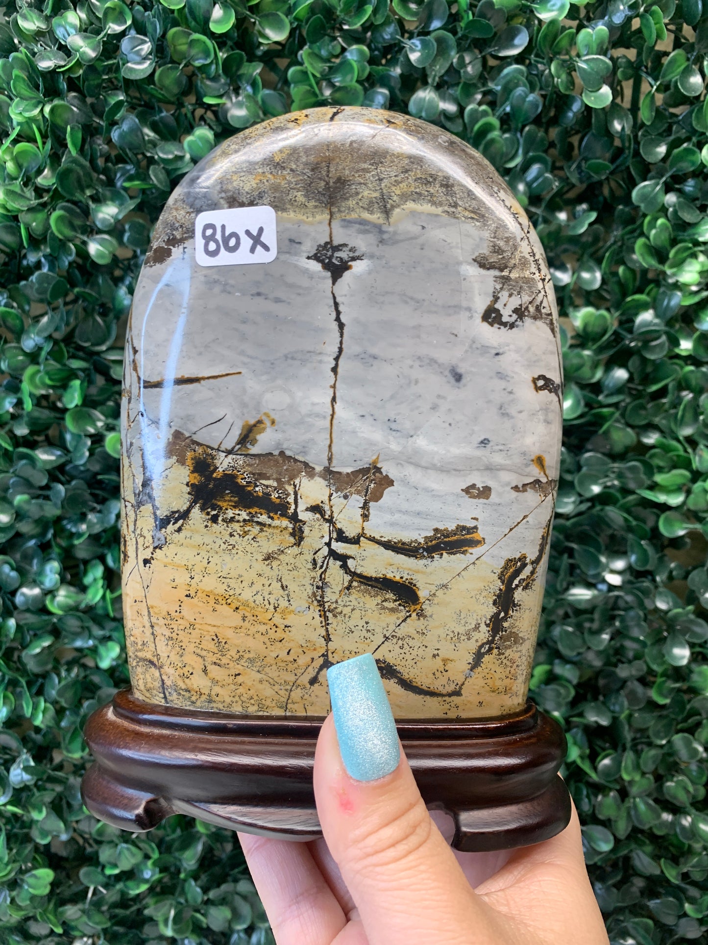 Picture Jasper Slabs (Come with stands)