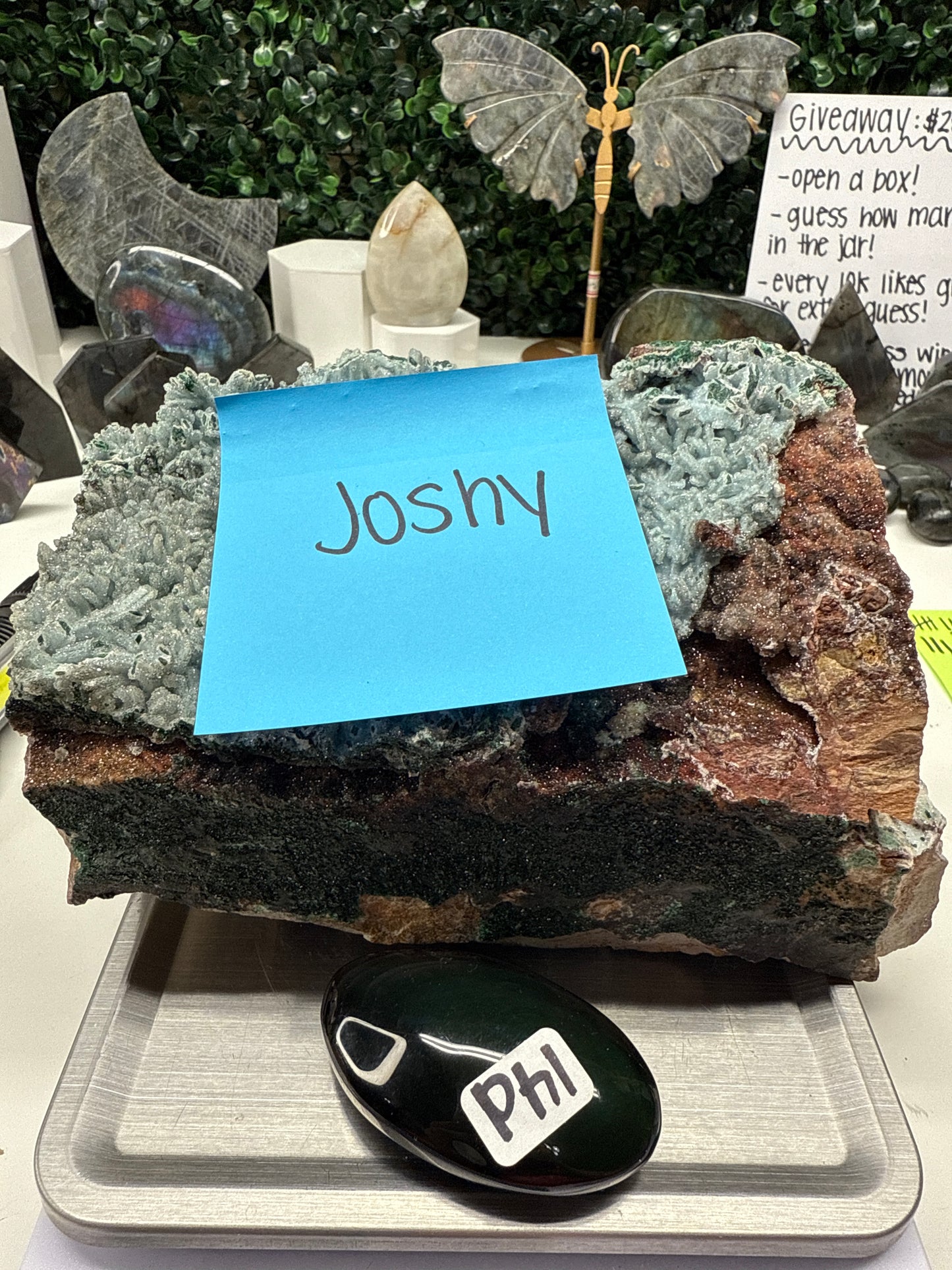 jboston010 6/21