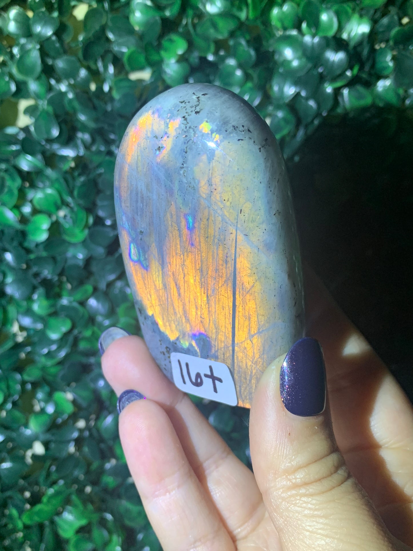 Labradorite Freeforms