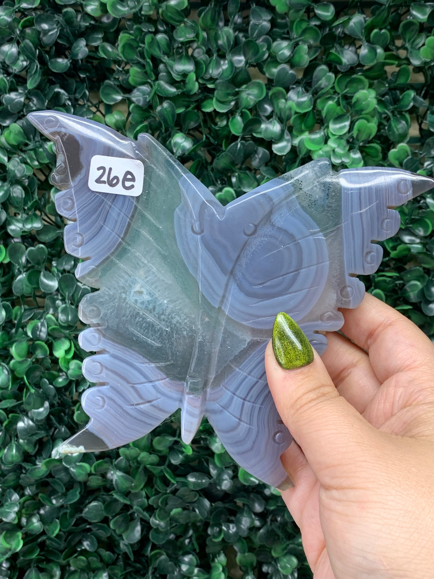 Druzy Agate Butterflies - COMES WITH STAND