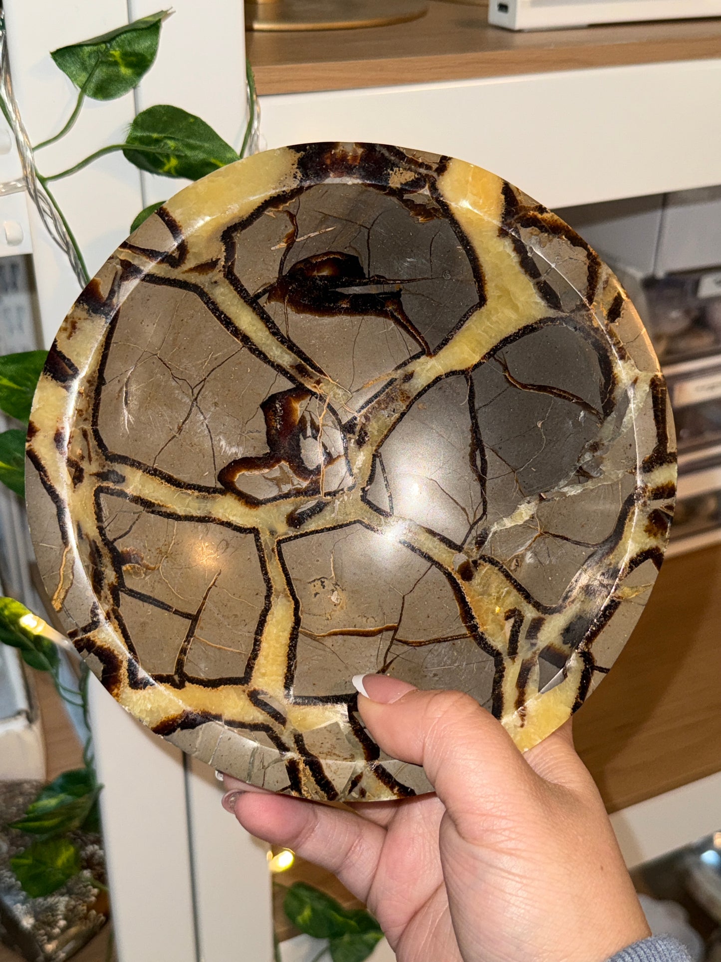 Septarian Bowls