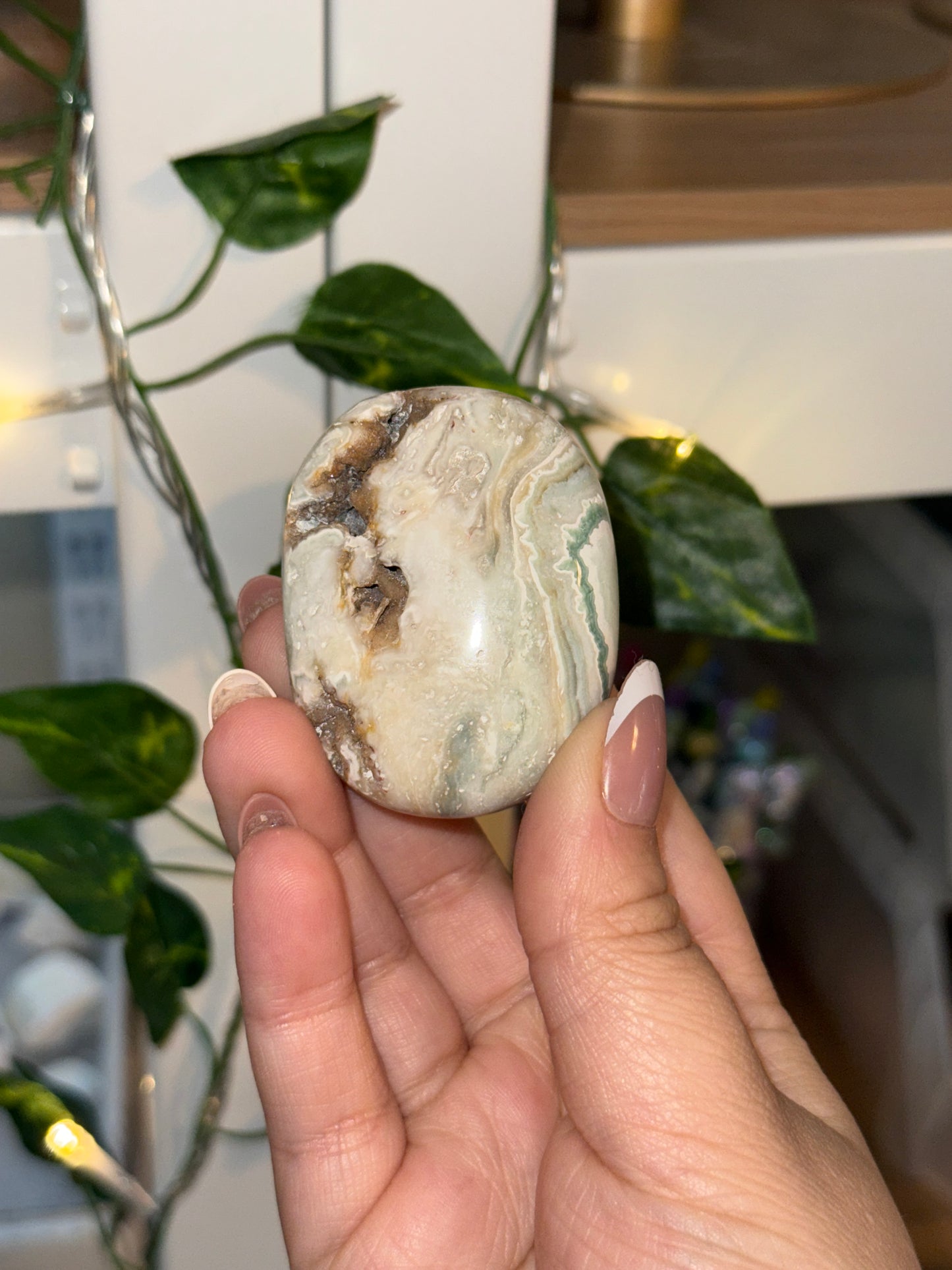 Mystery Palm - Lindsey’s Collection