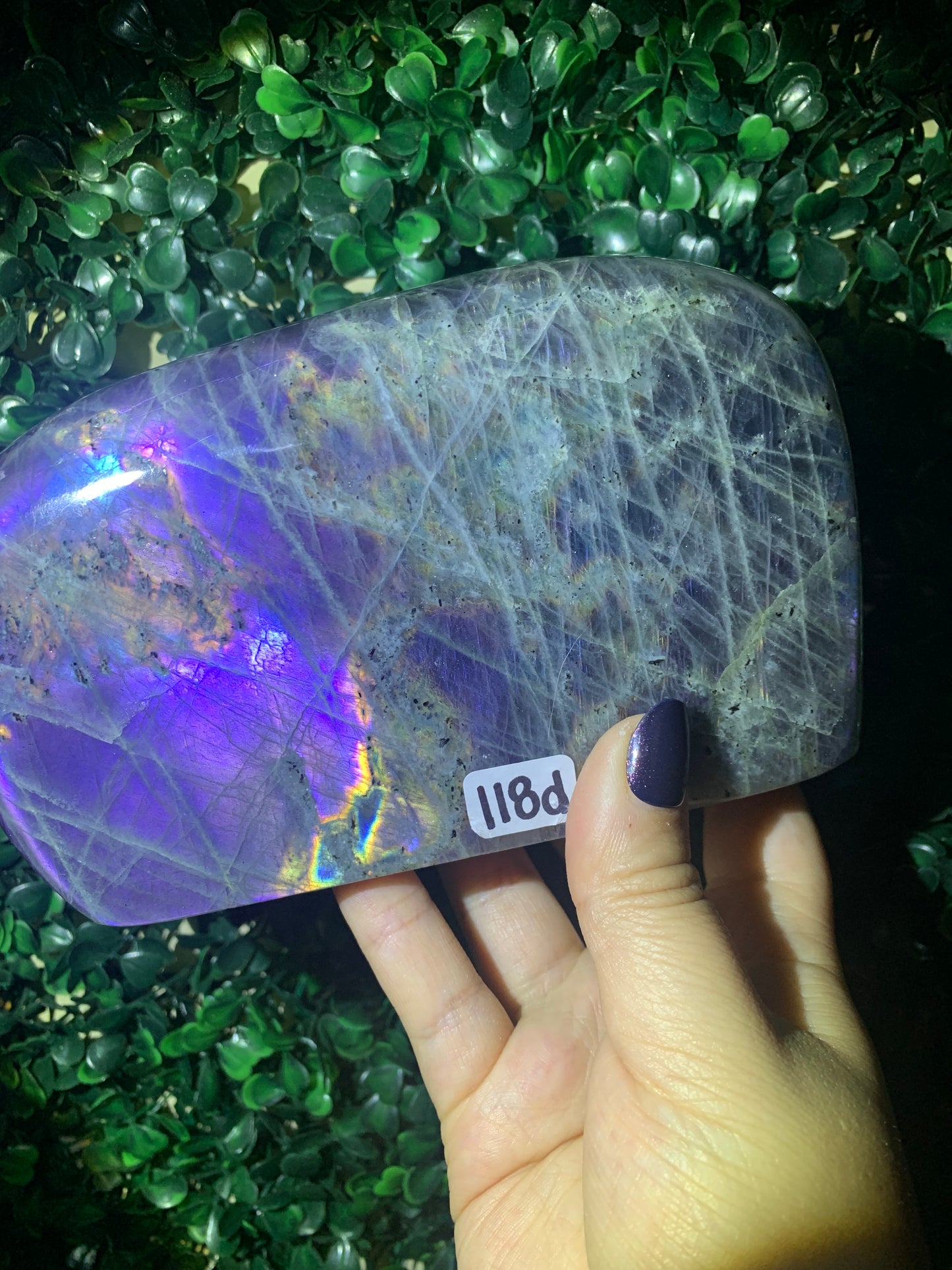 Labradorite Freeforms