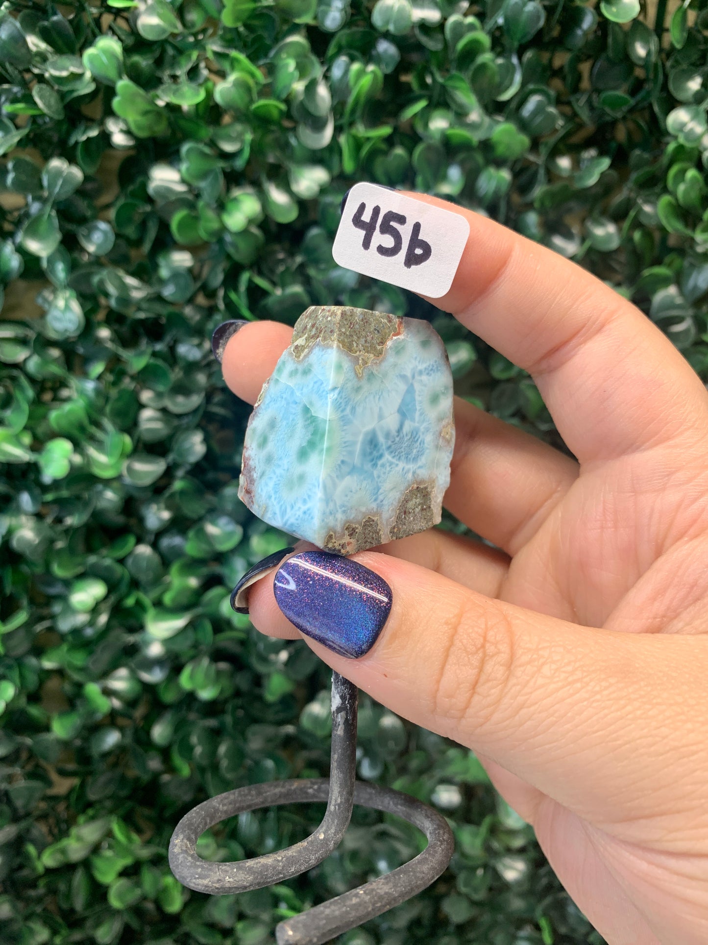 Larimar on stands