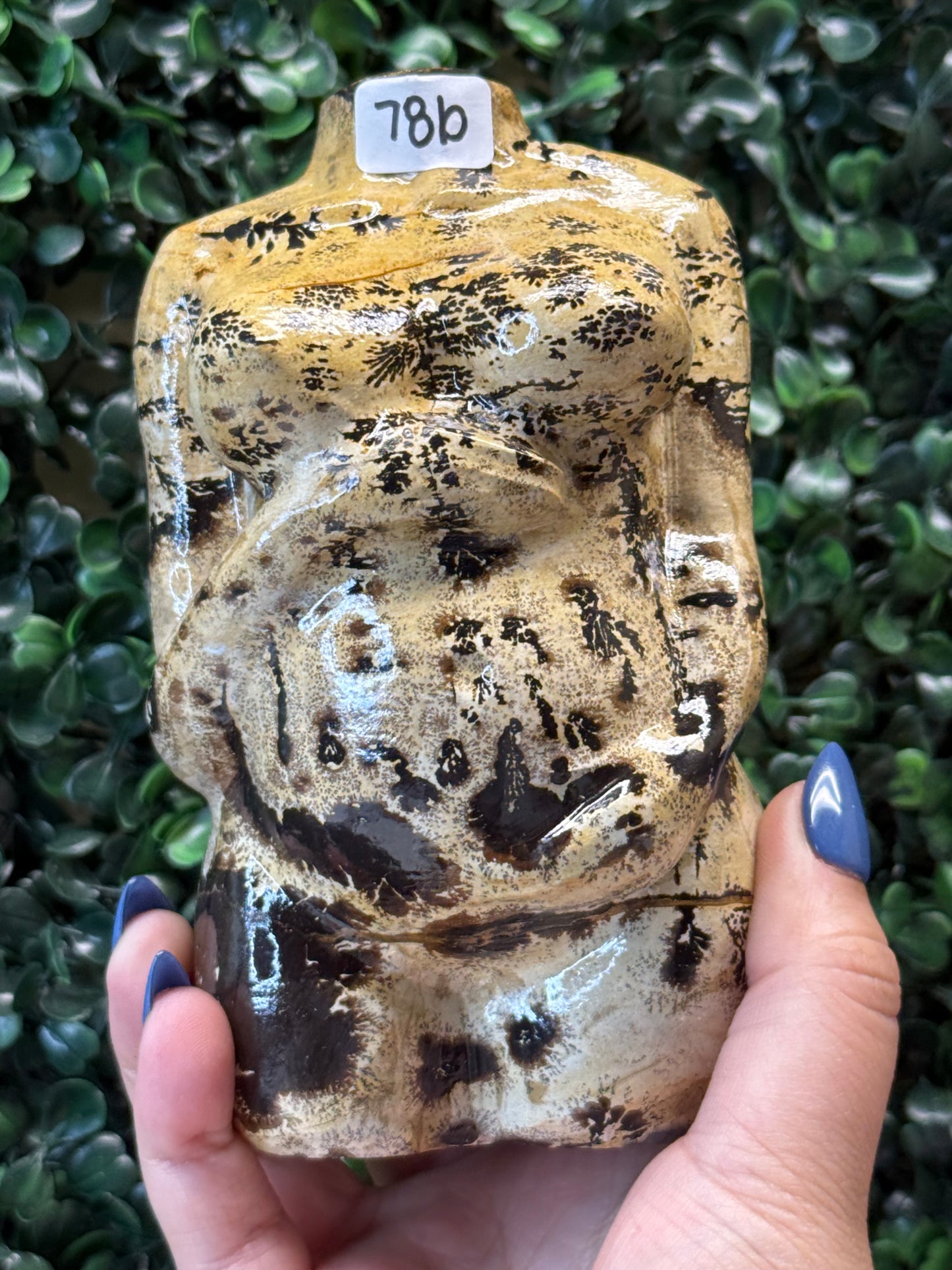Picture Jasper Pregnant Lady Bodies