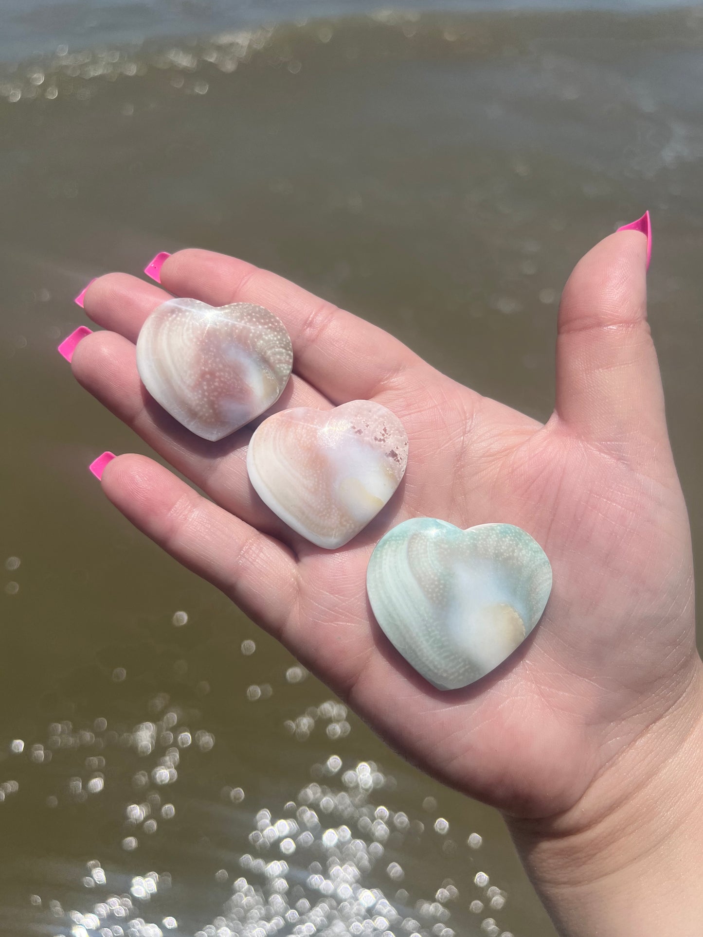 Shiva Shell Hearts