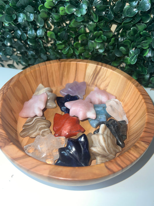 Mini Stingrays (Intuitively Chosen)