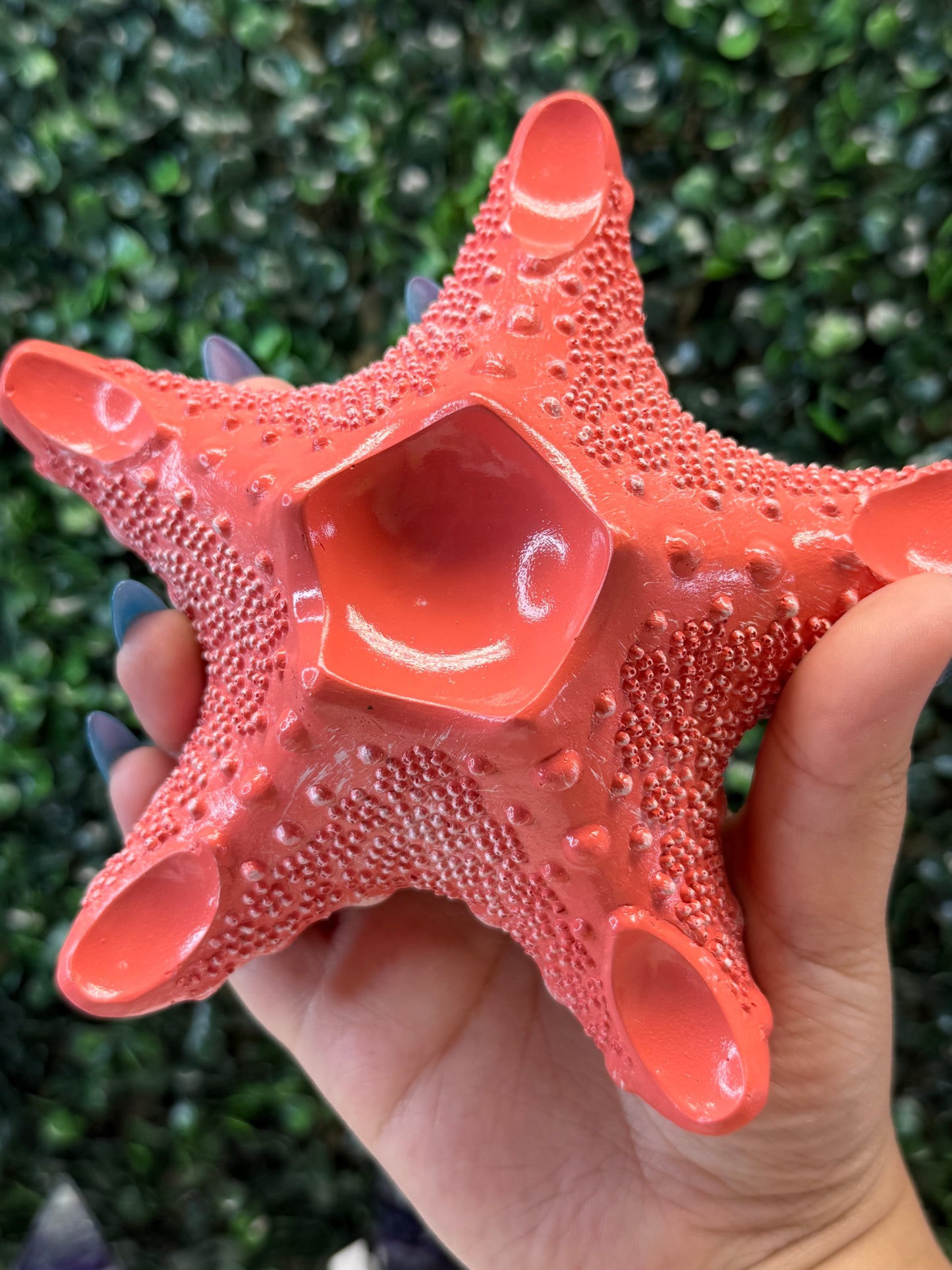 Starfish Sphere Holder