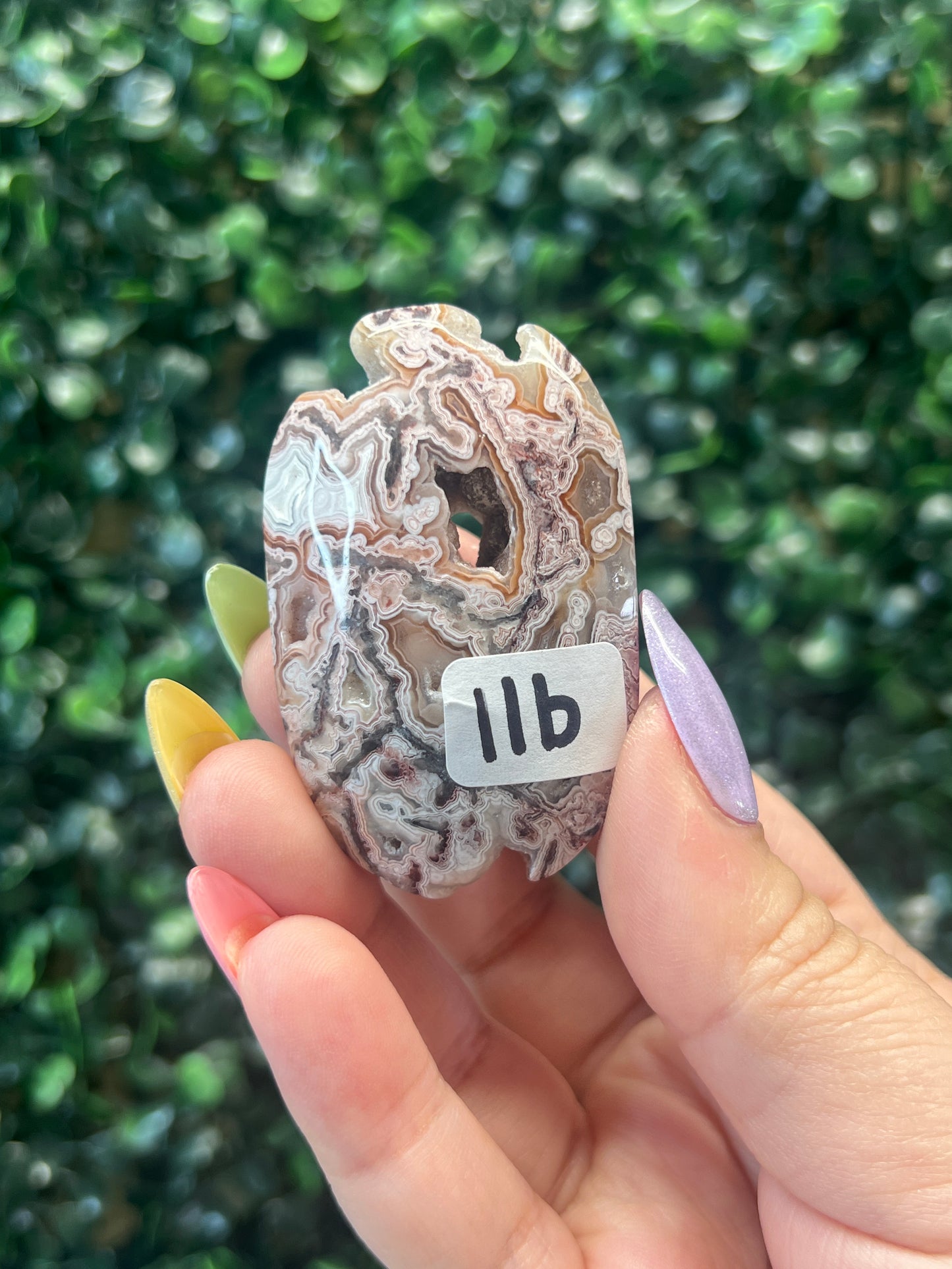 Mexican Crazy Lace Agate Palmstones (some have parallax)