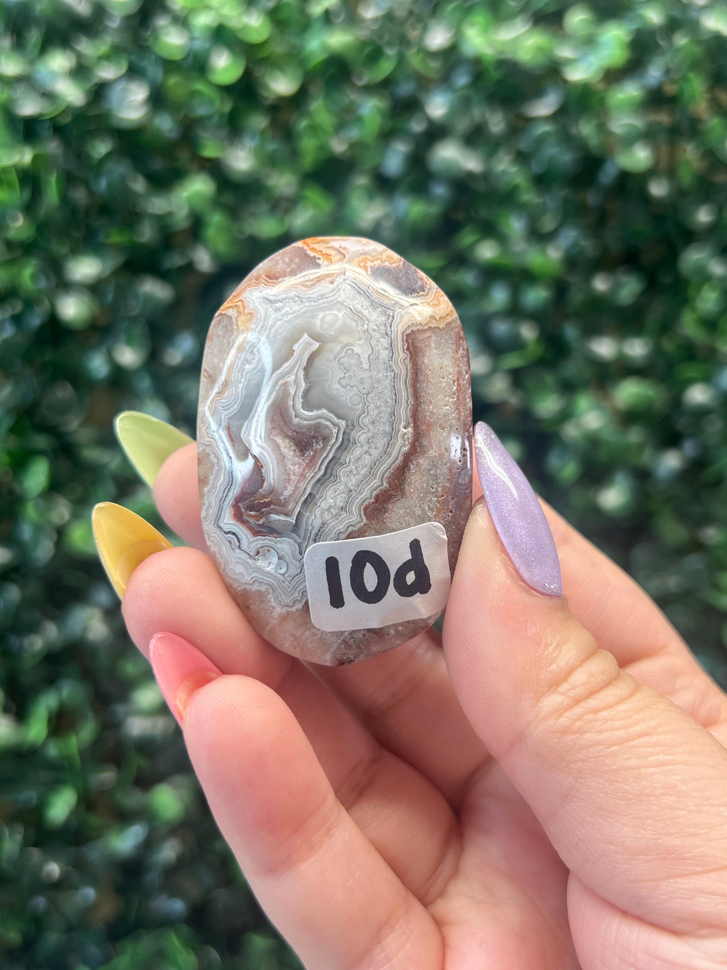 Mexican Crazy Lace Agate Palmstones (some have parallax)