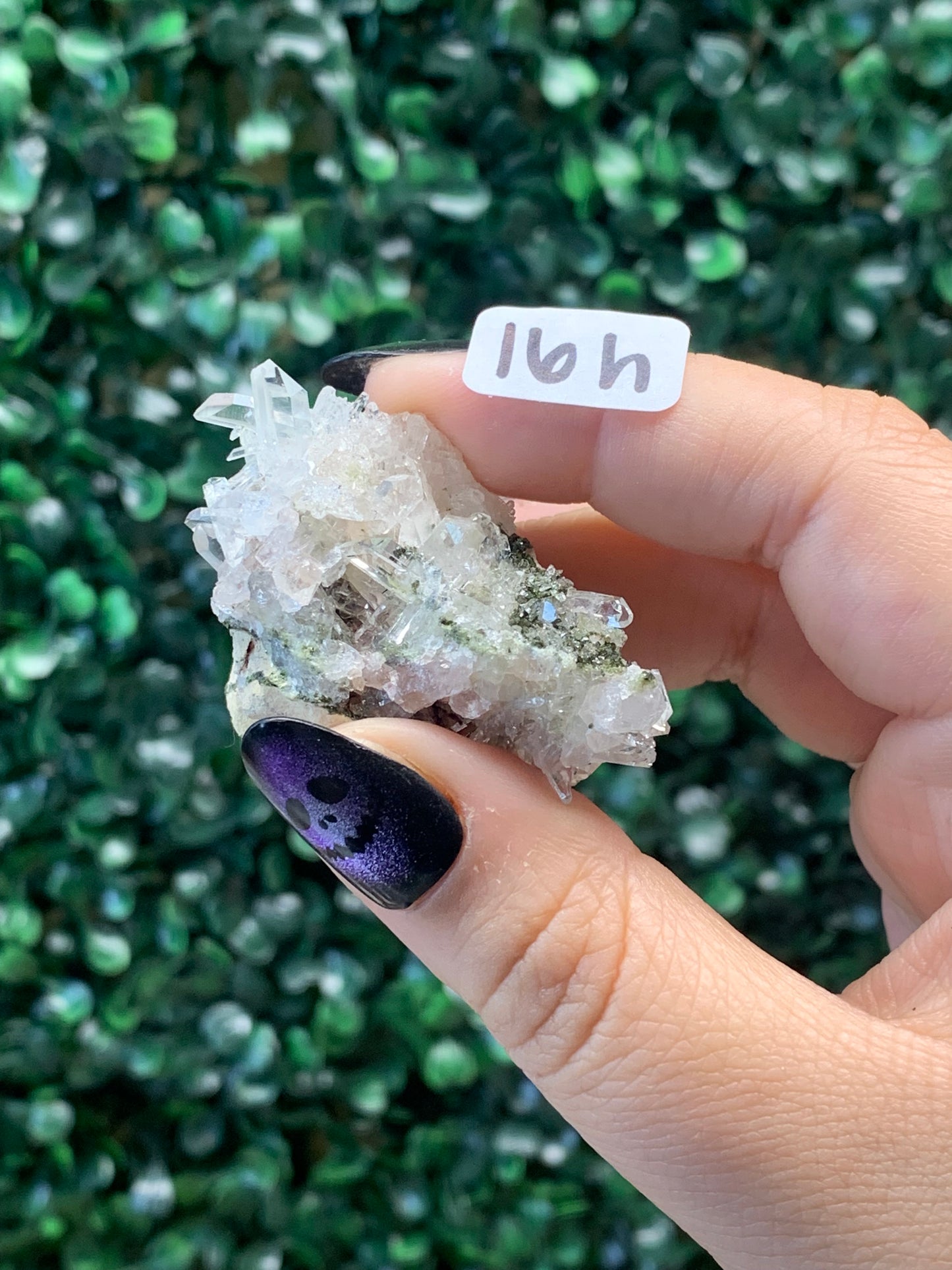 Pink Lemurian Quartz x Chlorite Specimens