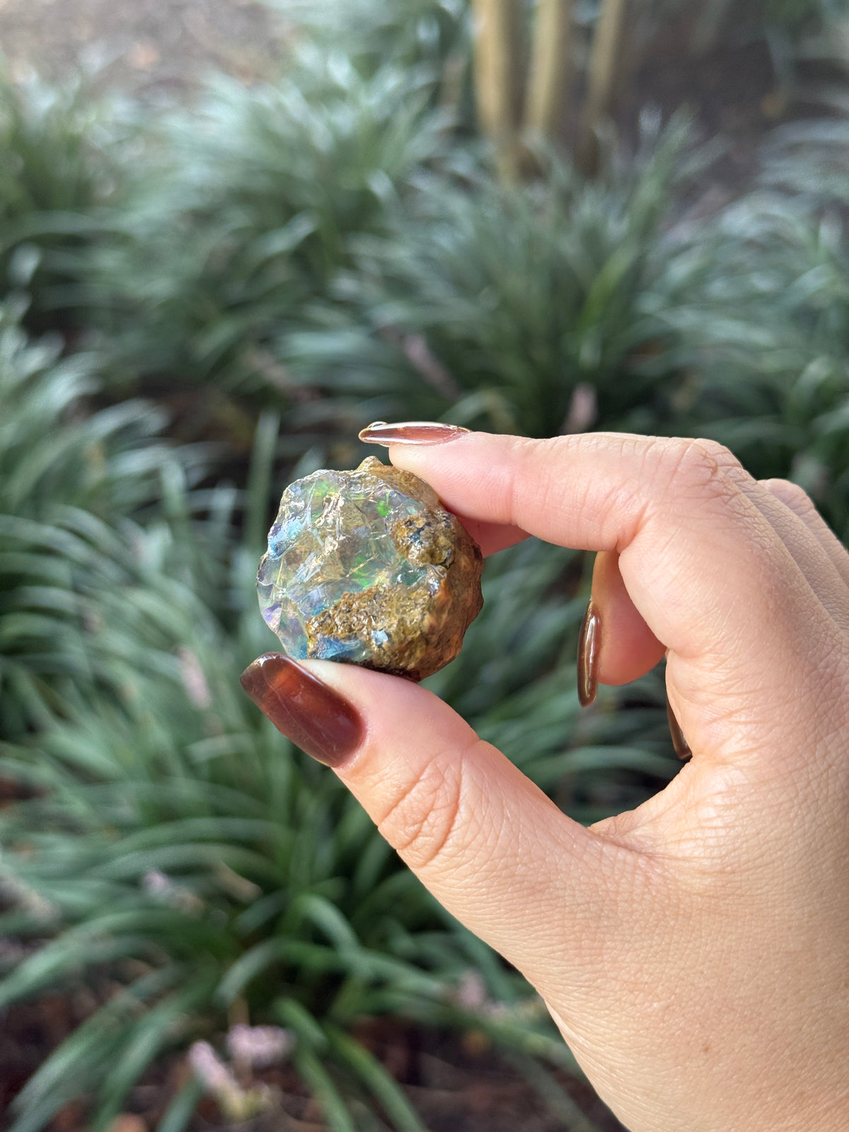 Water Opal - Bri’s Collection