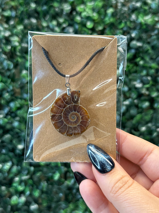 Ammonite Pendants & Cord