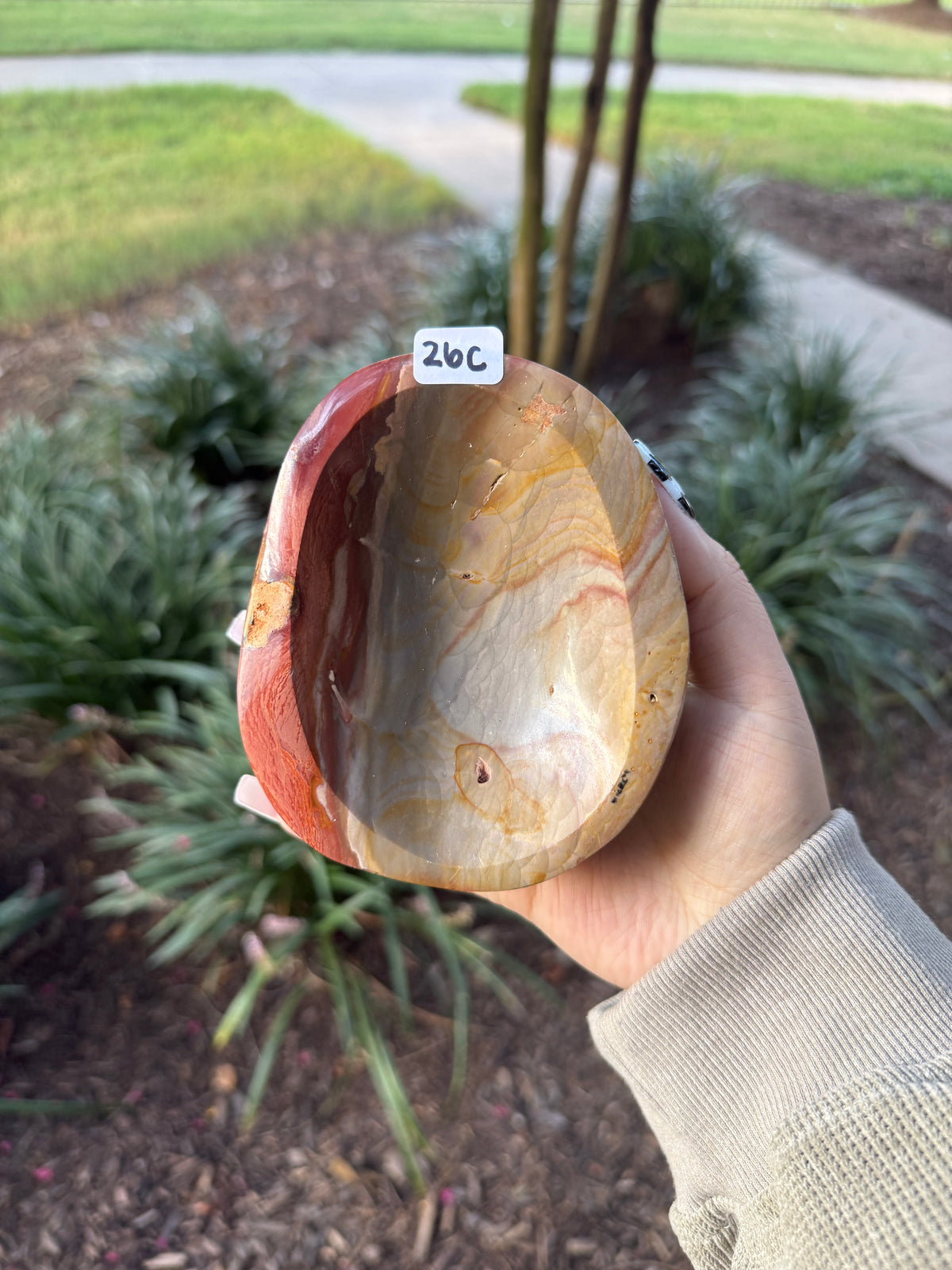 Polychrome Bowls
