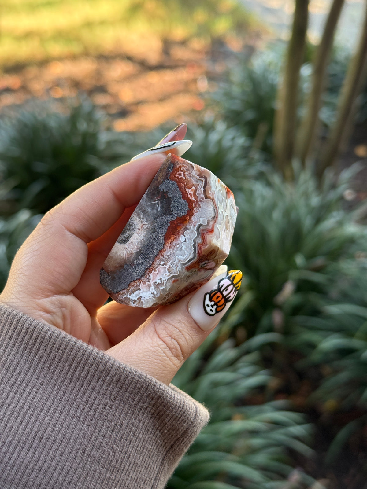 Mexican Crazy Lace Agate Freeform - Bri’s Collection
