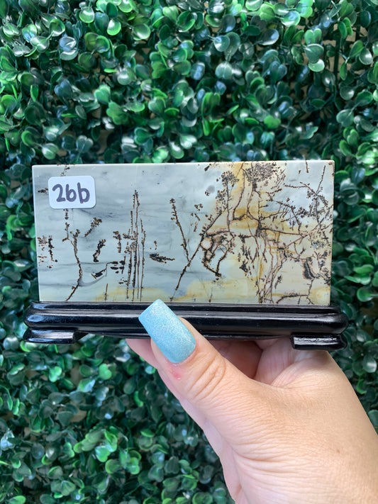 Picture Jasper Slabs (Come with stands)