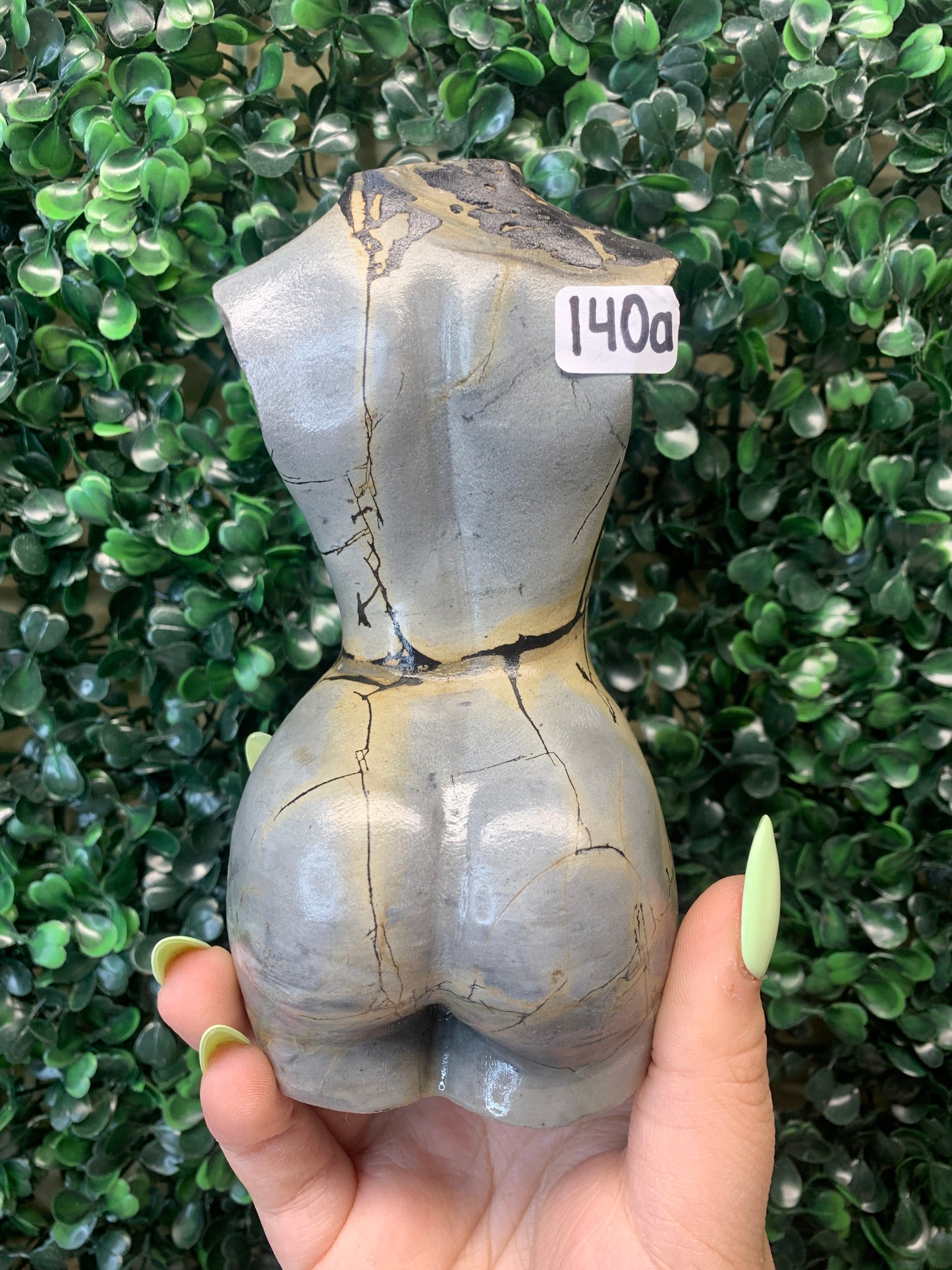 Picture Jasper Lady Bodies